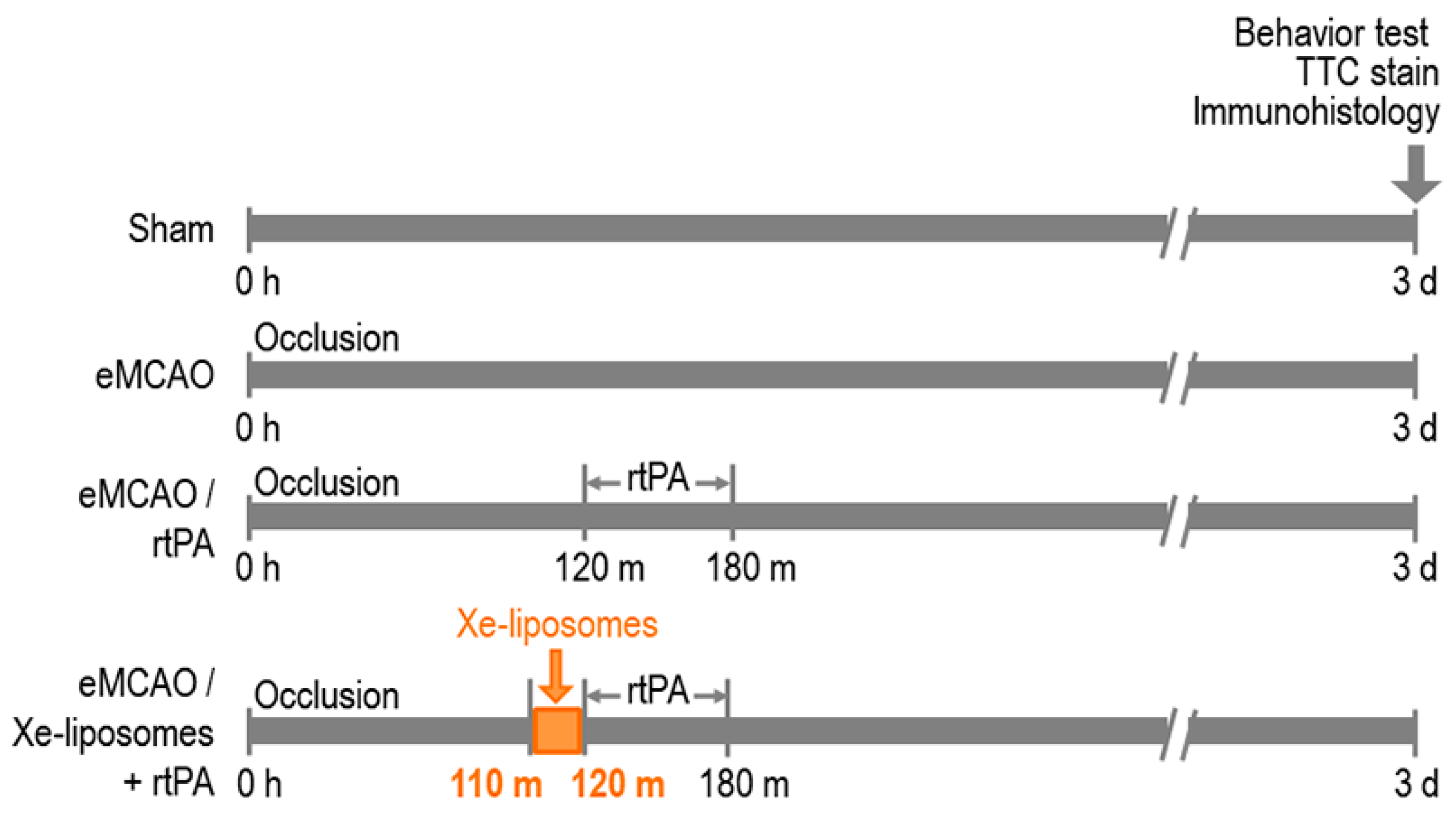 Biomolecules 13 01256 g001