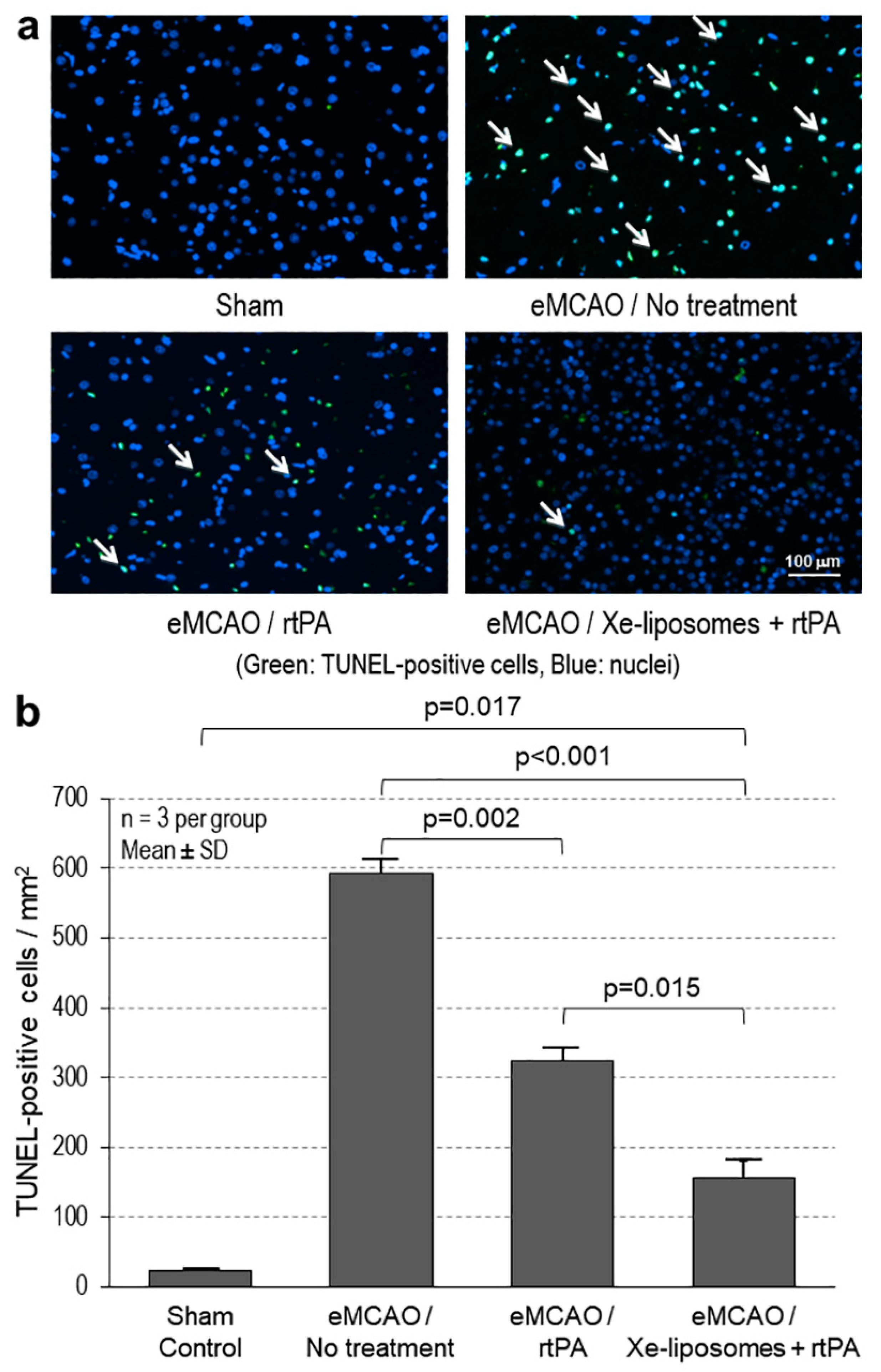 Biomolecules 13 01256 g006