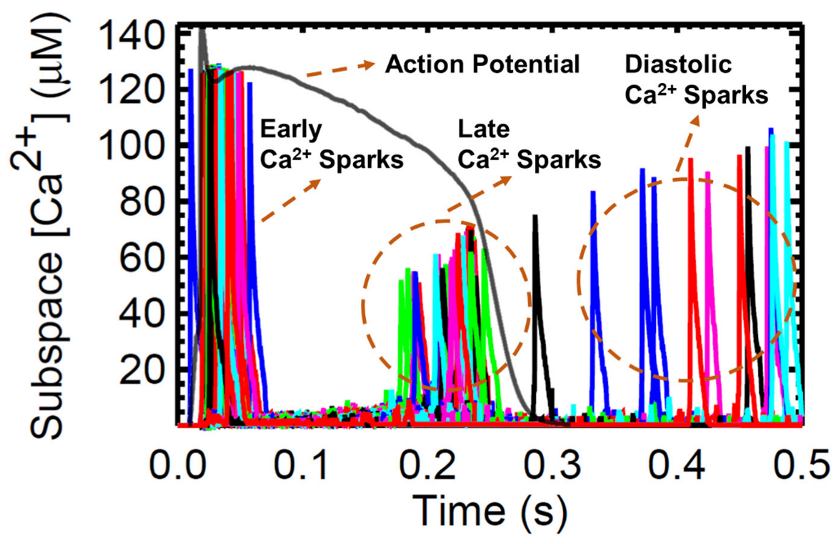 Biomolecules 13 01259 g013