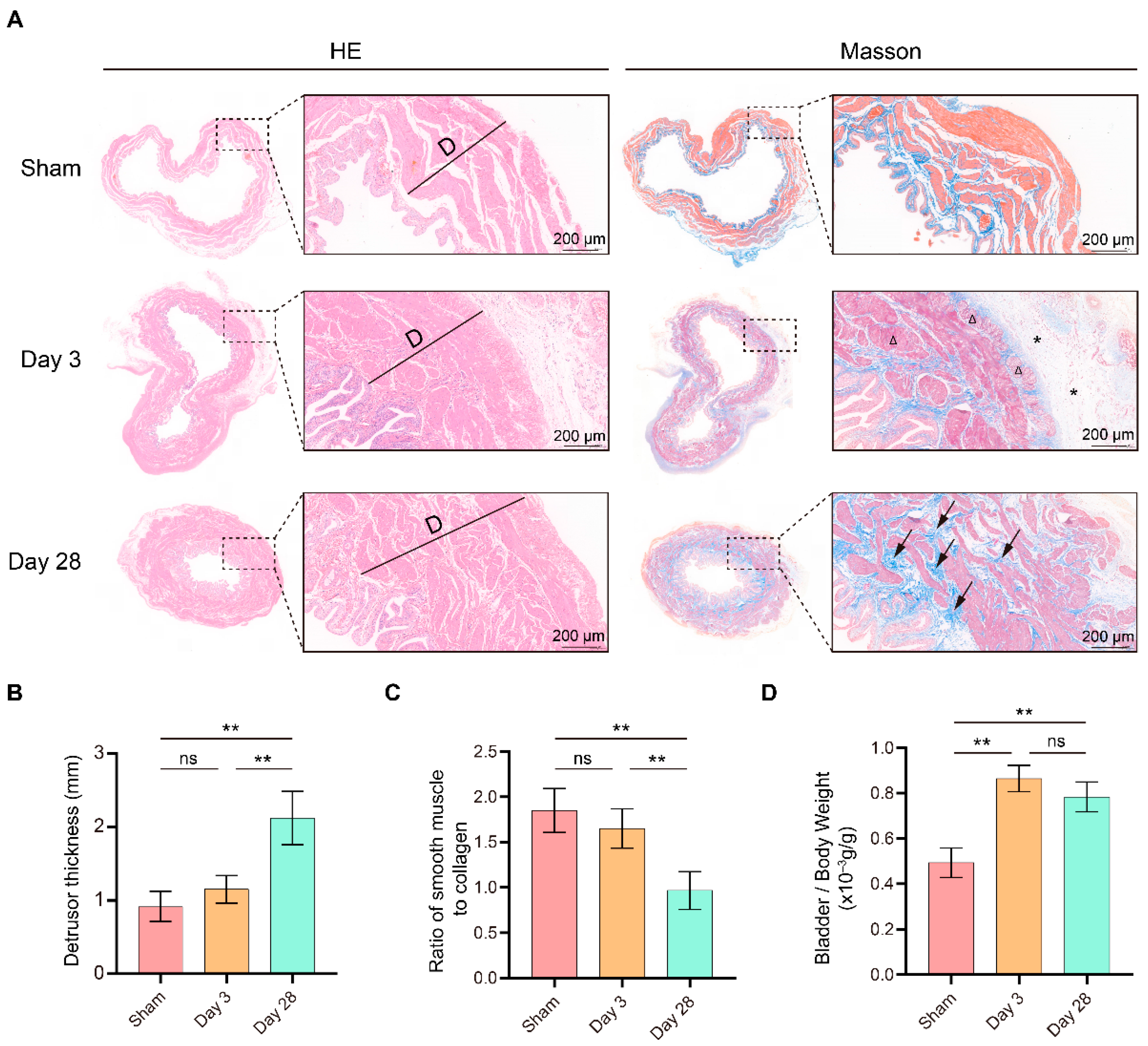 Biomolecules 13 01260 g002