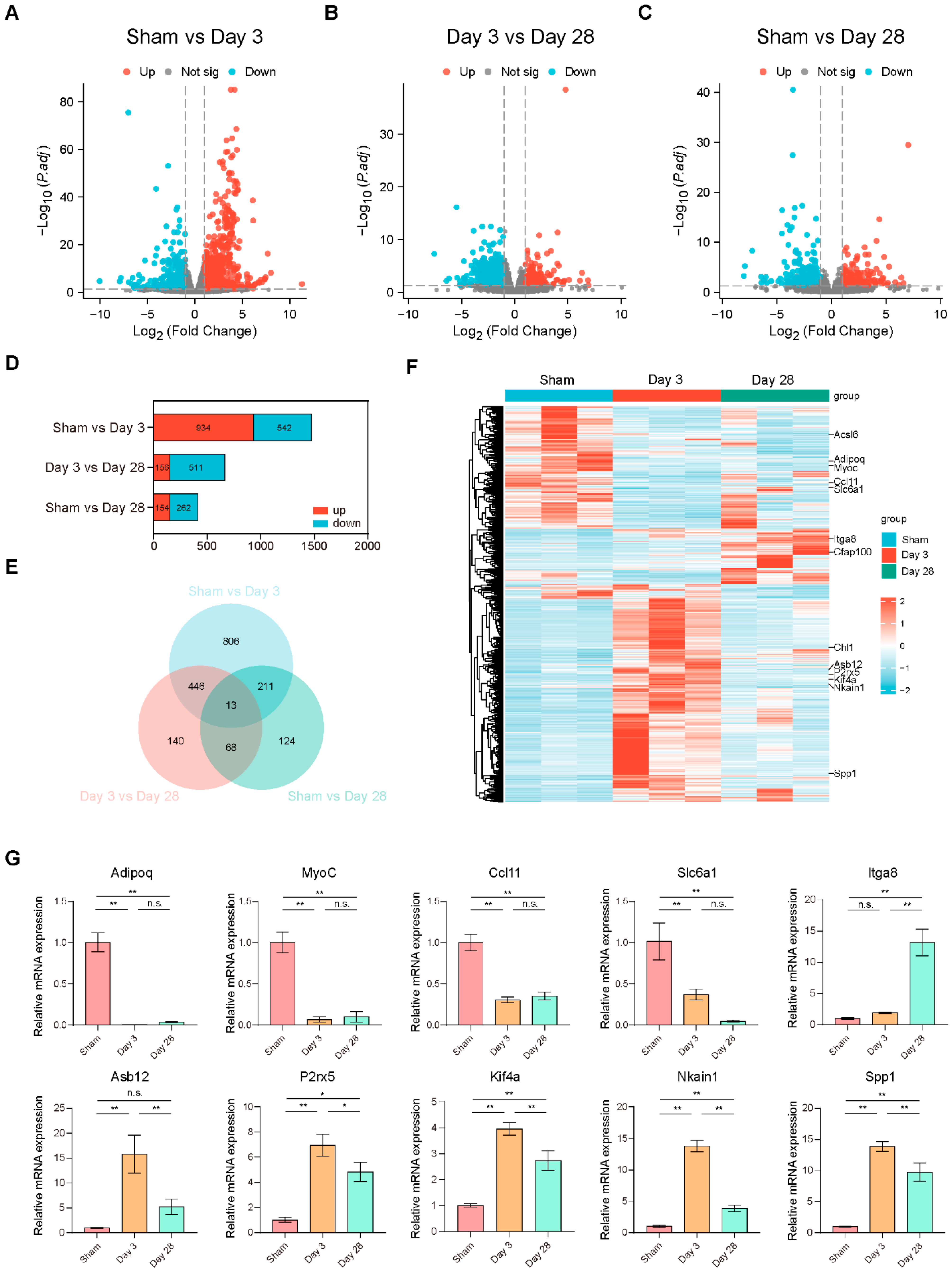 Biomolecules 13 01260 g003