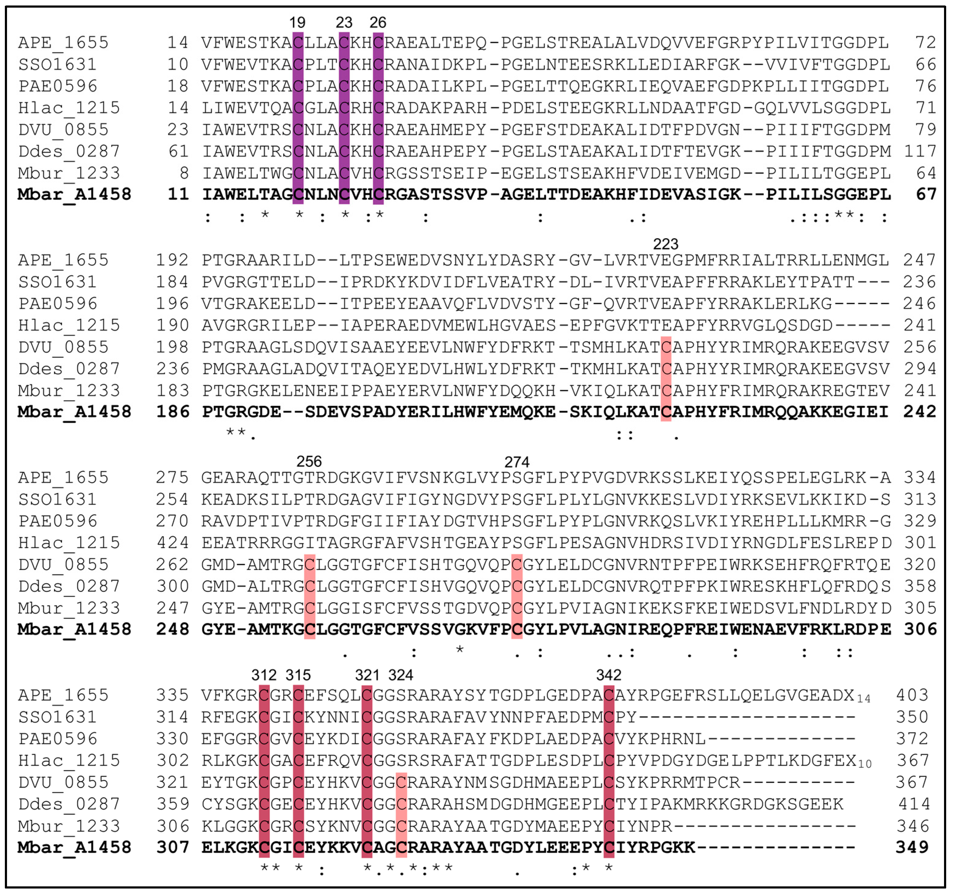 Biomolecules 13 01268 g002