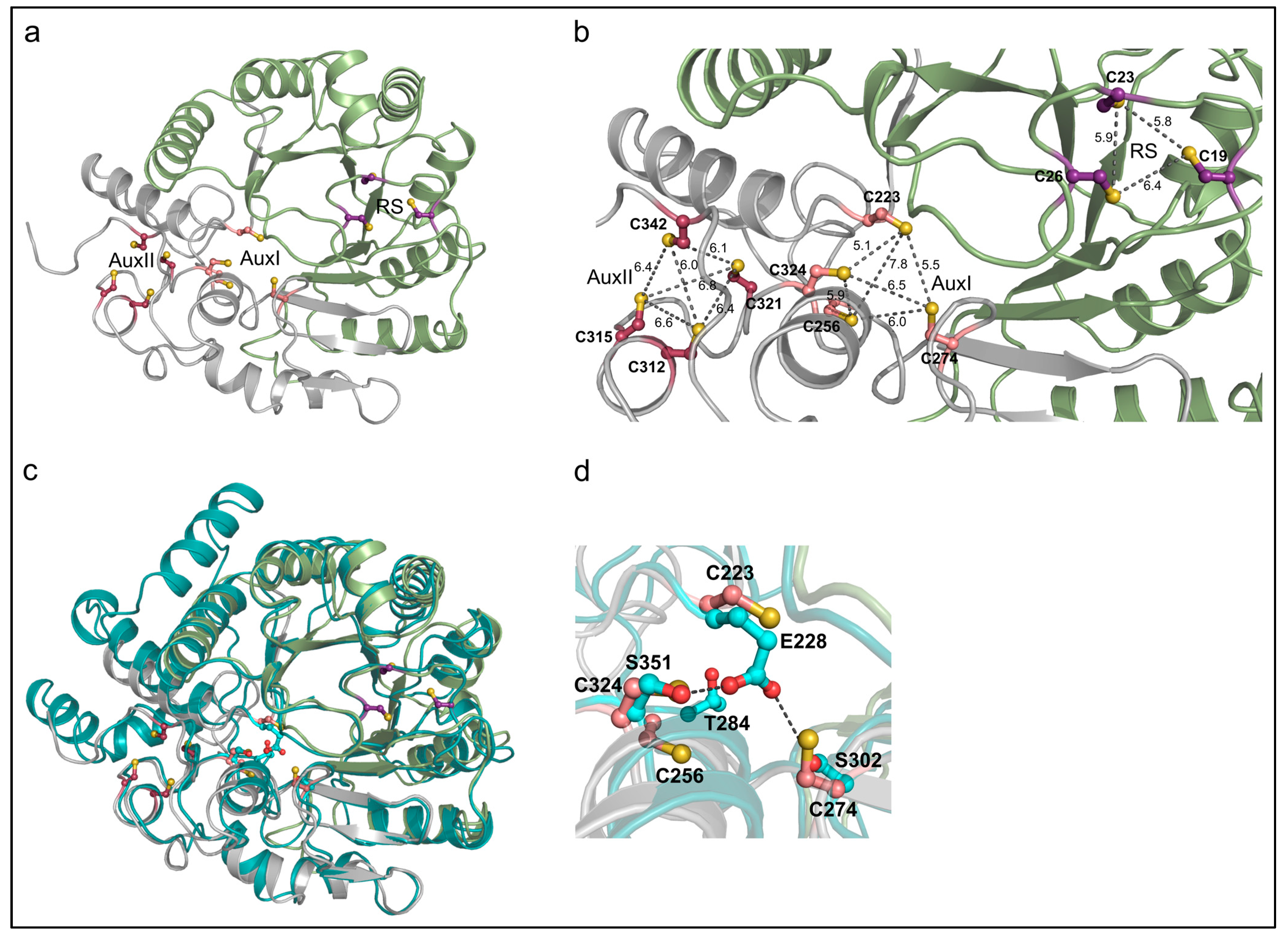 Biomolecules 13 01268 g003