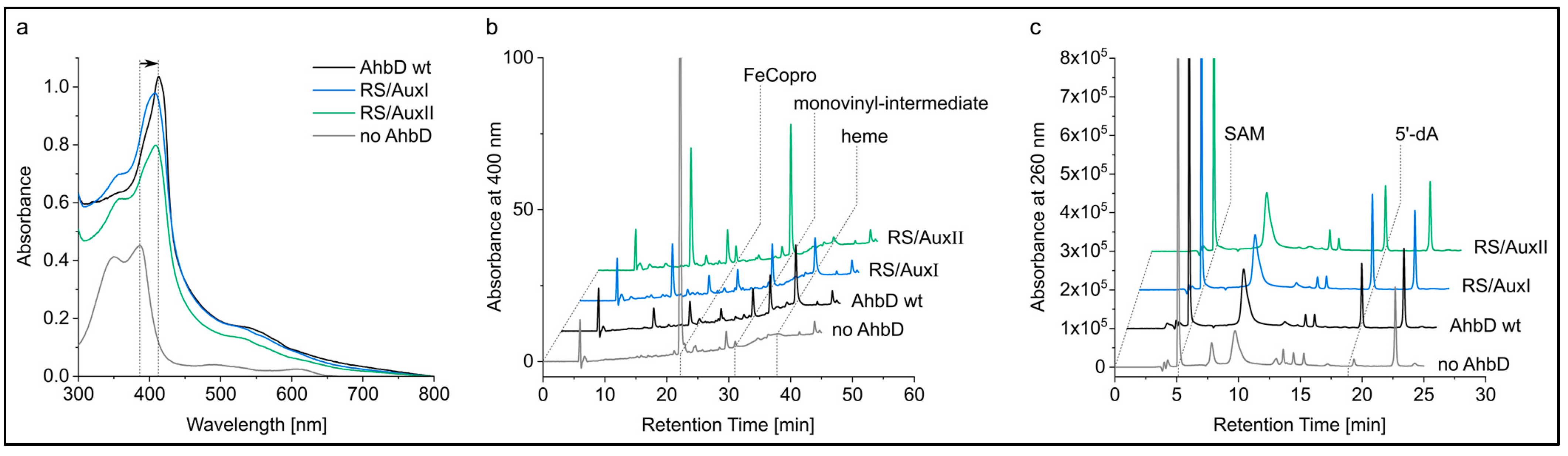 Biomolecules 13 01268 g006