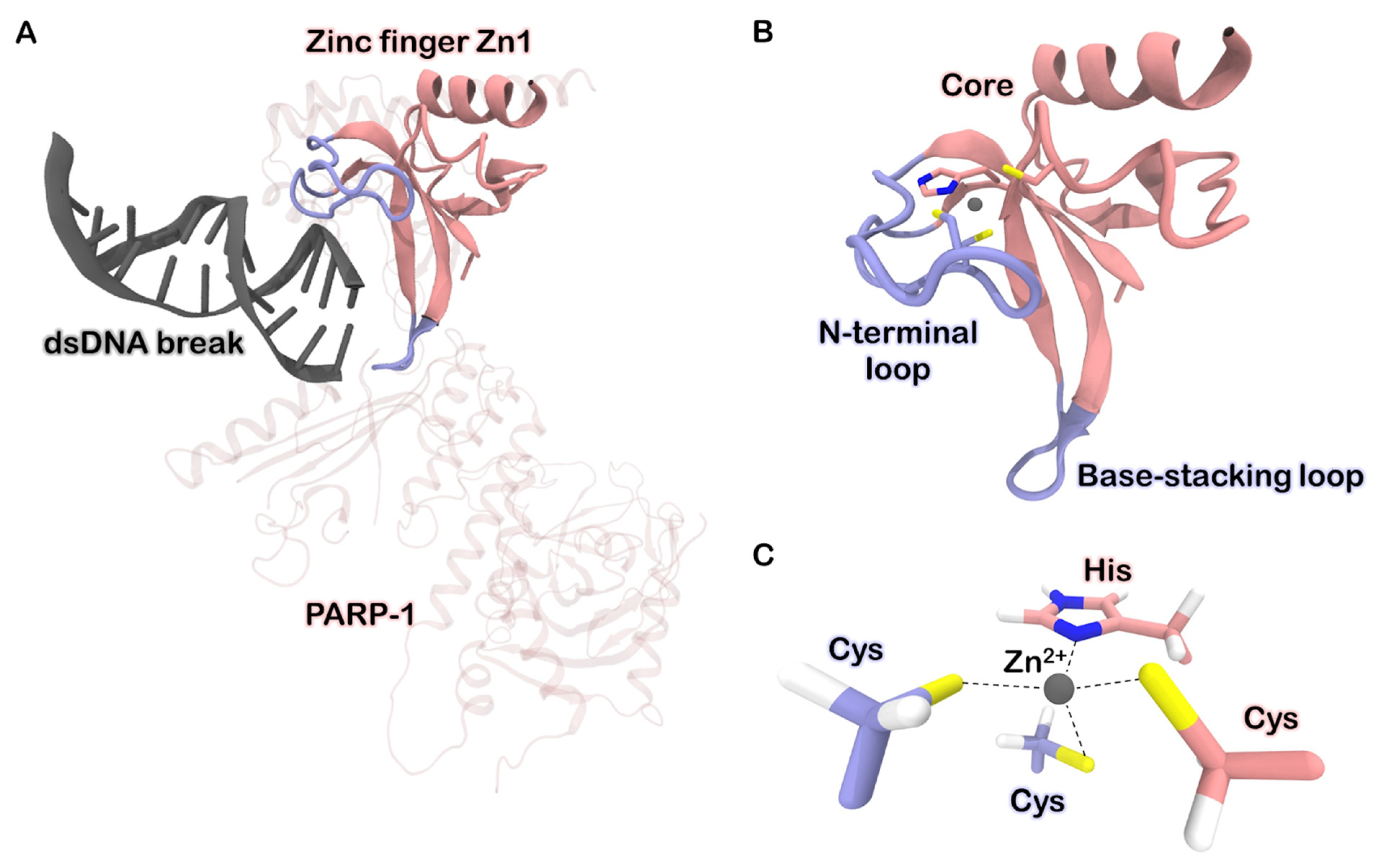 Biomolecules 13 01269 g001