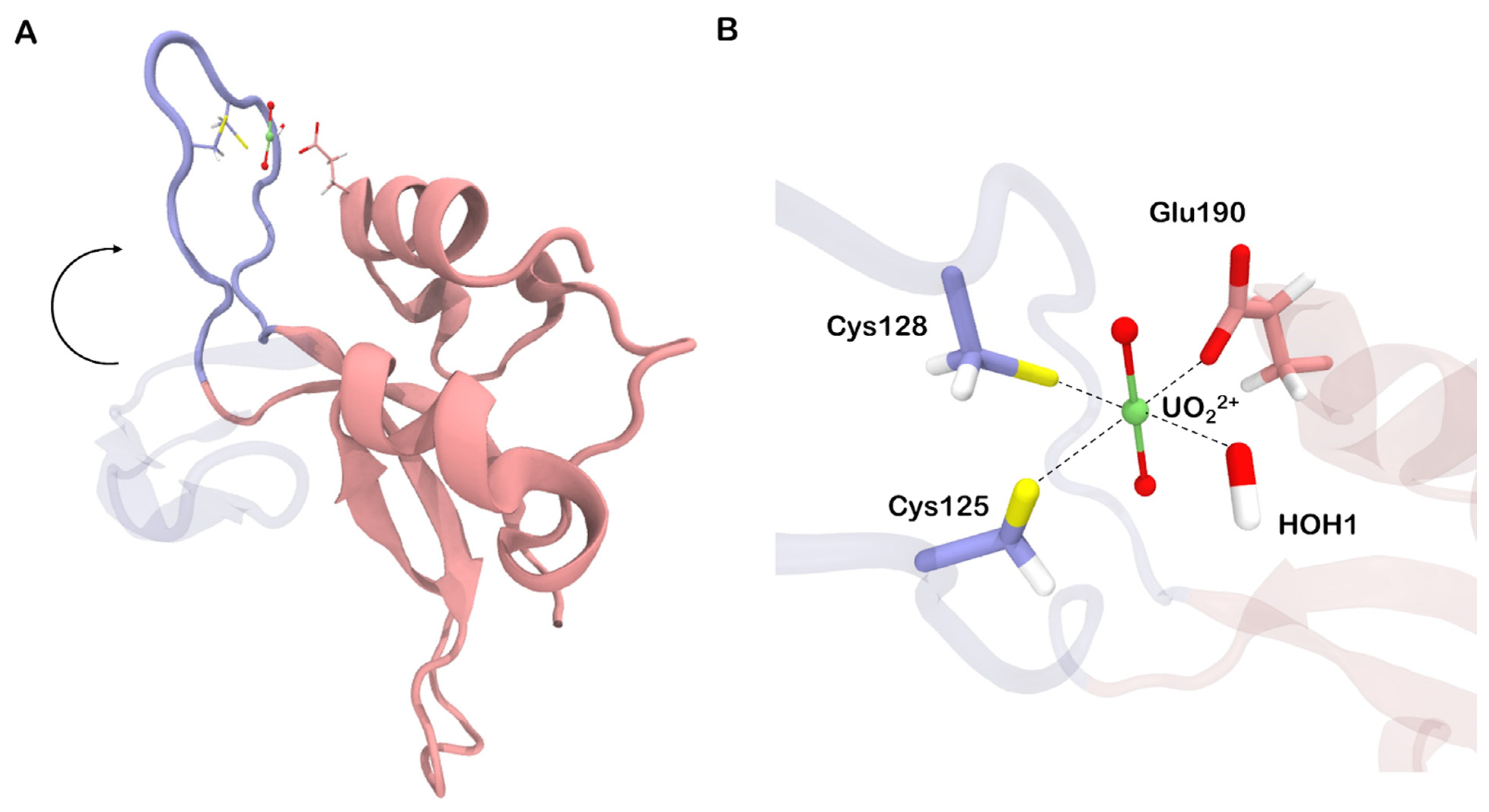 Biomolecules 13 01269 g005