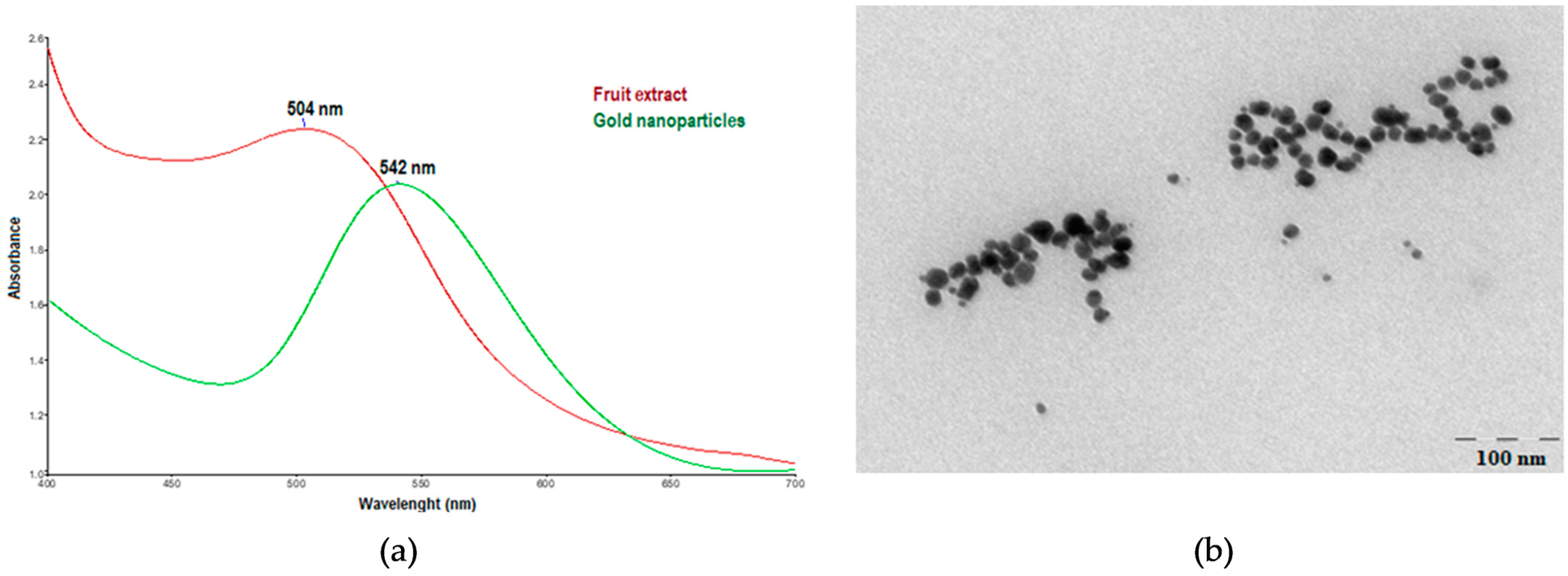 Biomolecules 13 01271 g001