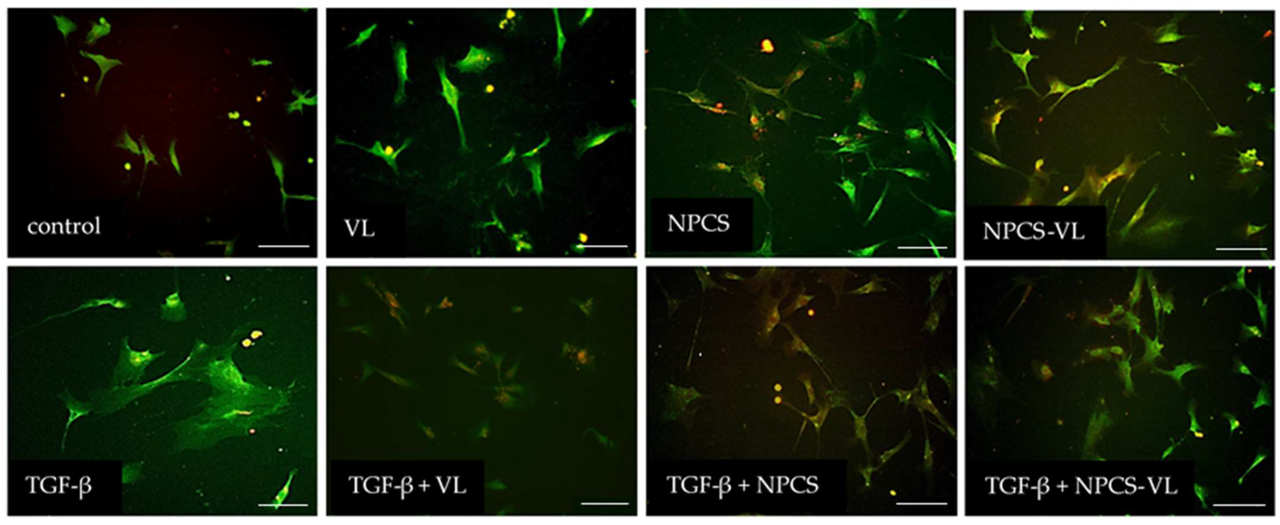 Biomolecules 13 01271 g007