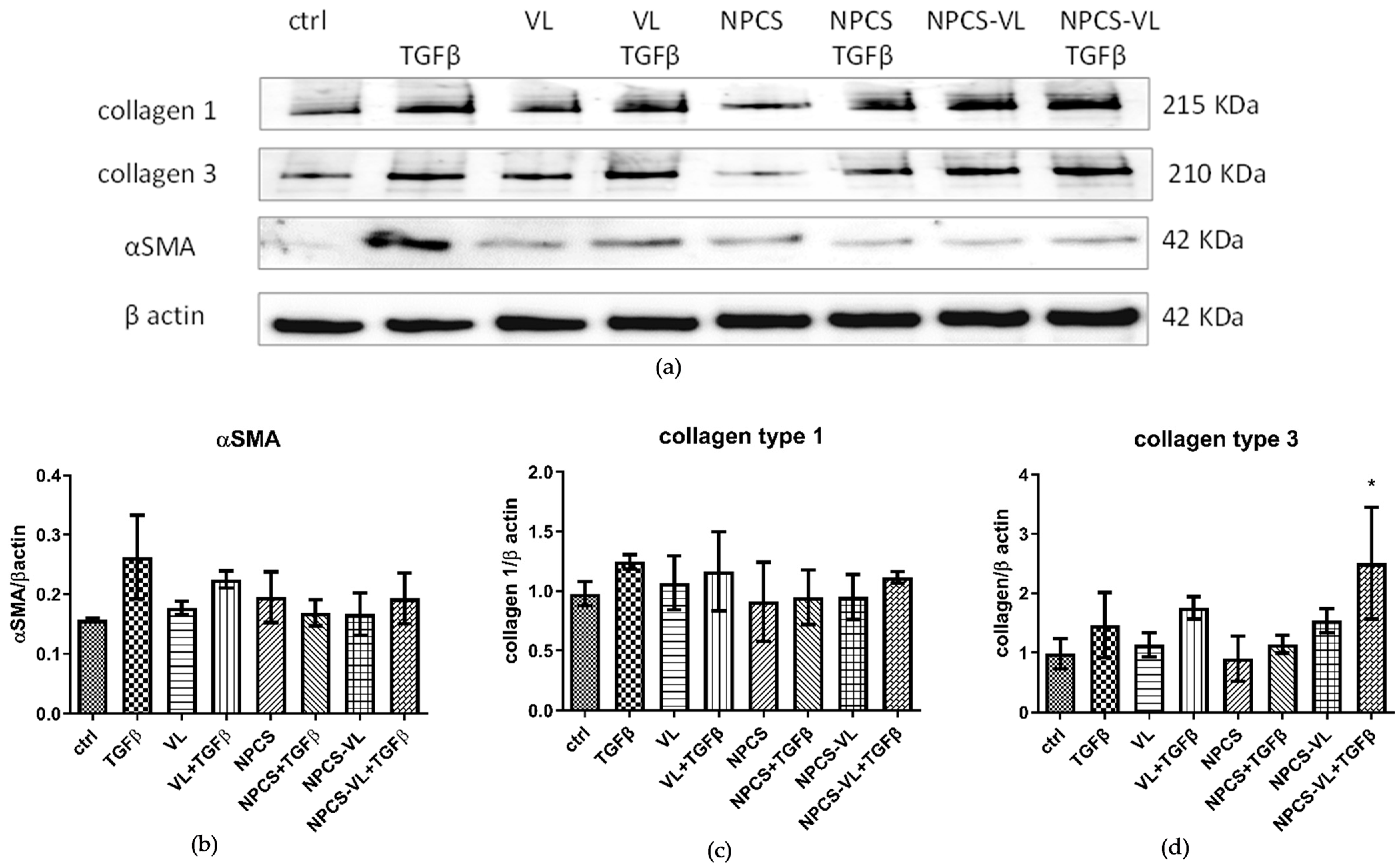 Biomolecules 13 01271 g008