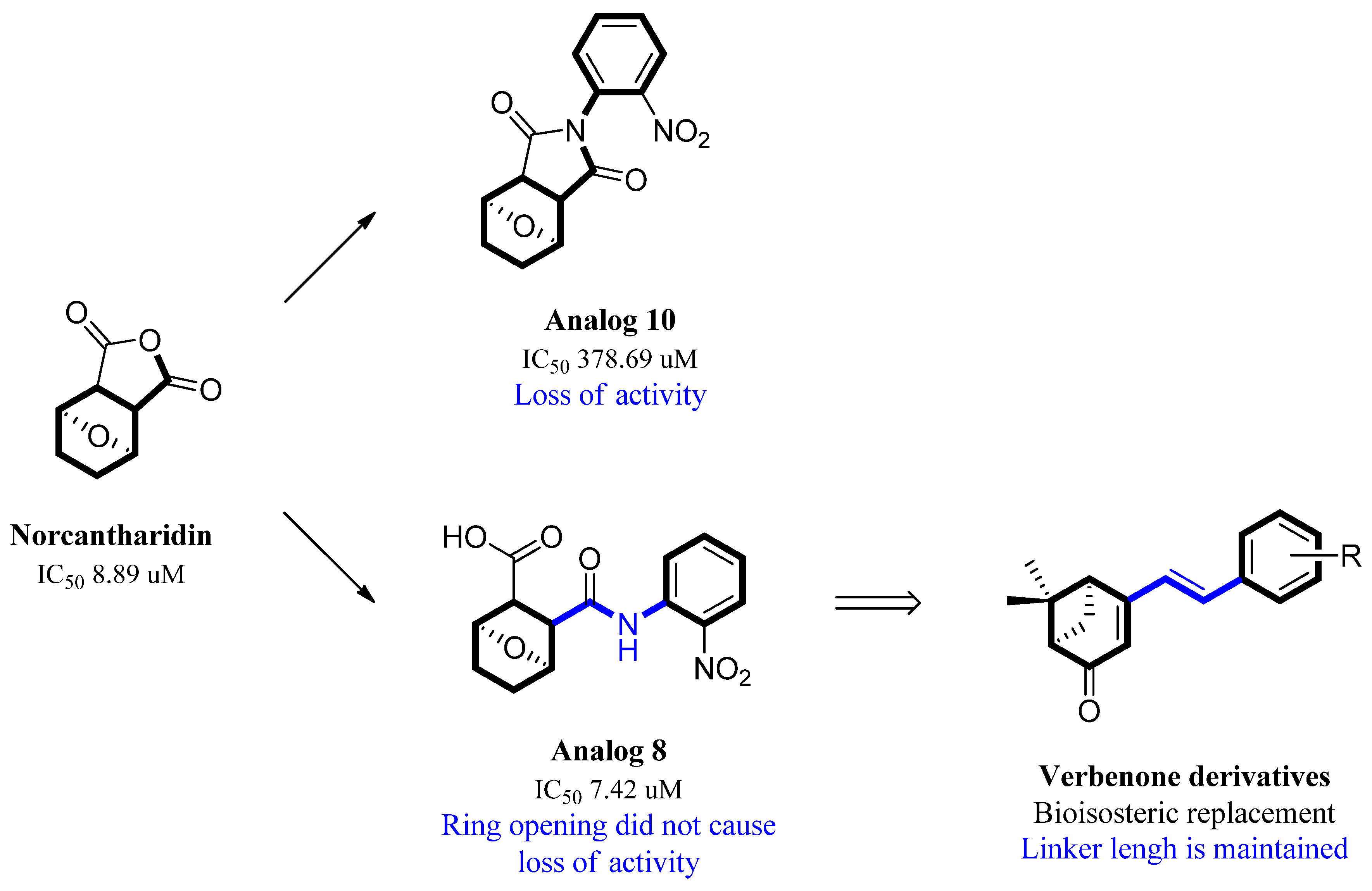 Biomolecules 13 01272 g001