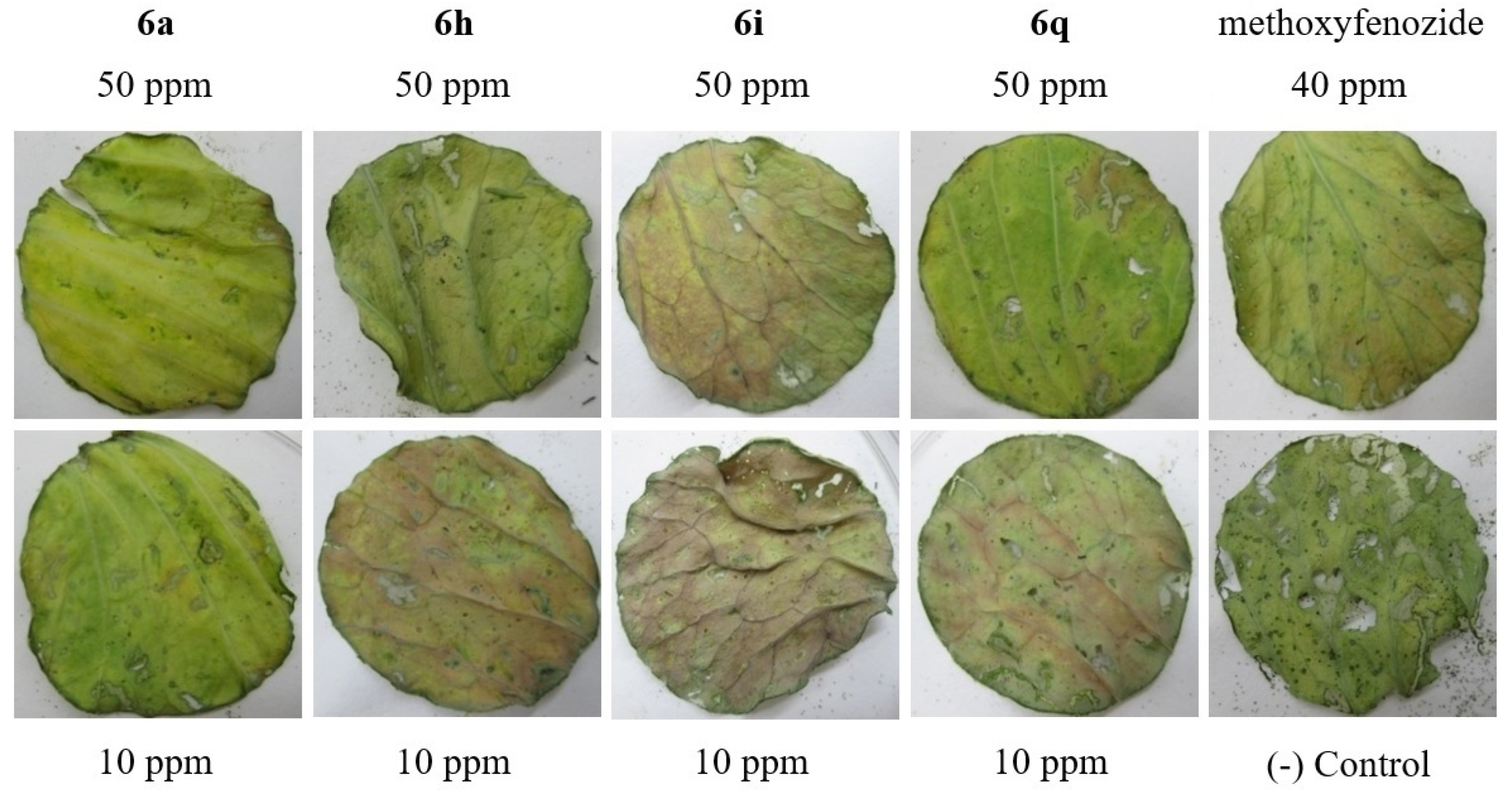 Biomolecules 13 01272 g002