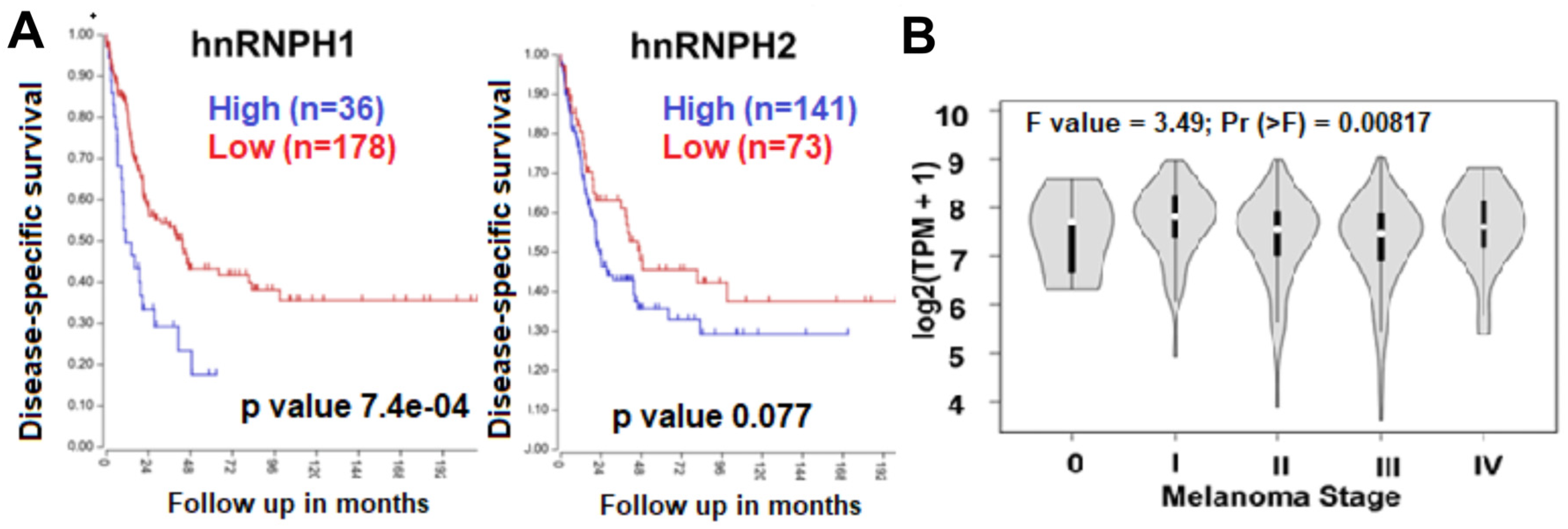 Biomolecules 13 01276 g001