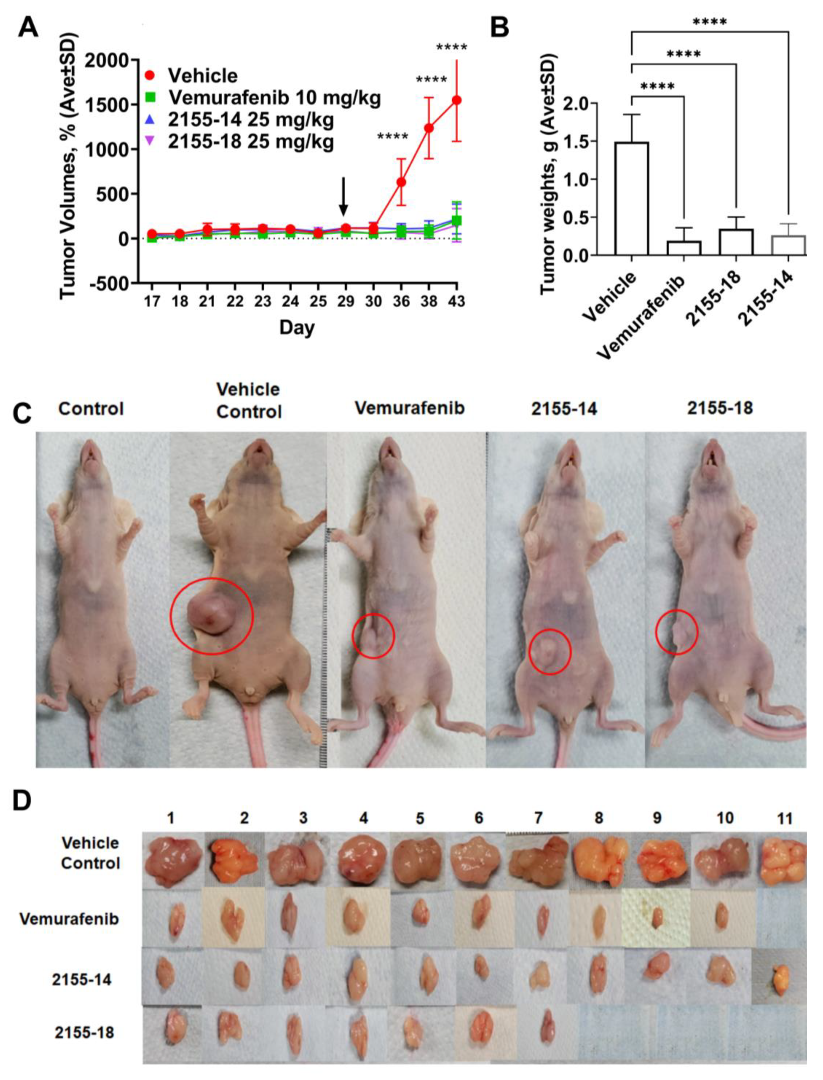 Biomolecules 13 01276 g003