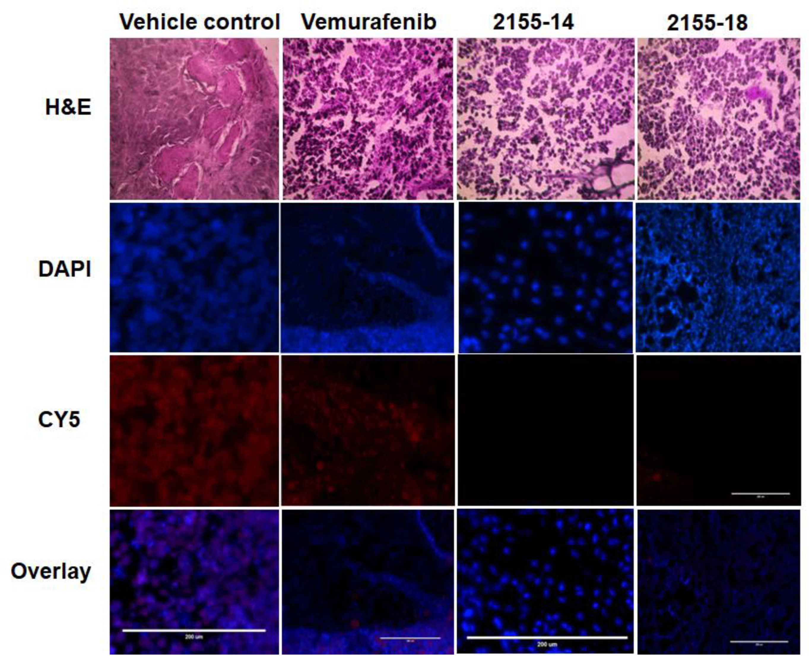 Biomolecules 13 01276 g006