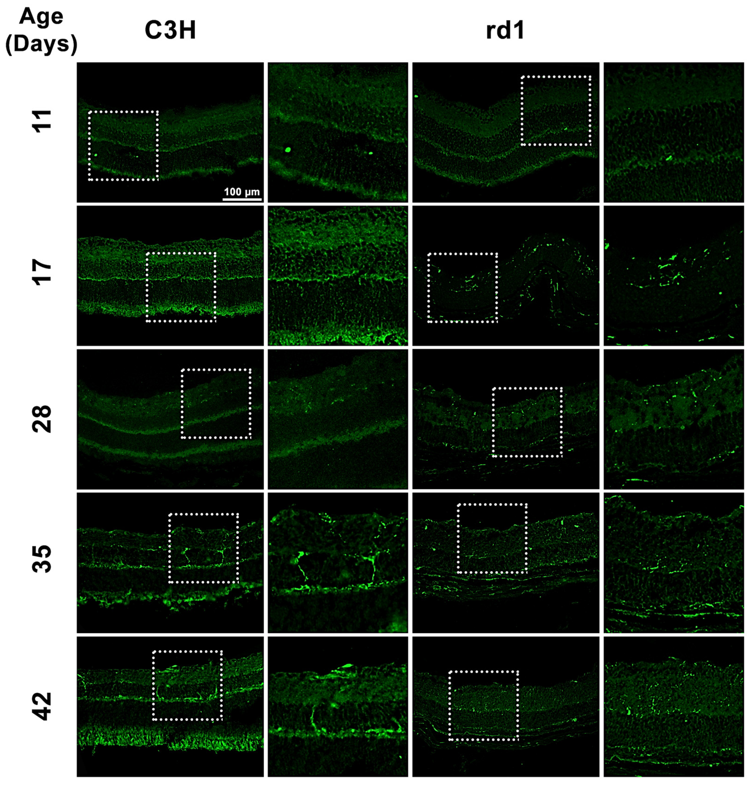 Biomolecules 13 01277 g001 Biomolecules 13 01277 g001