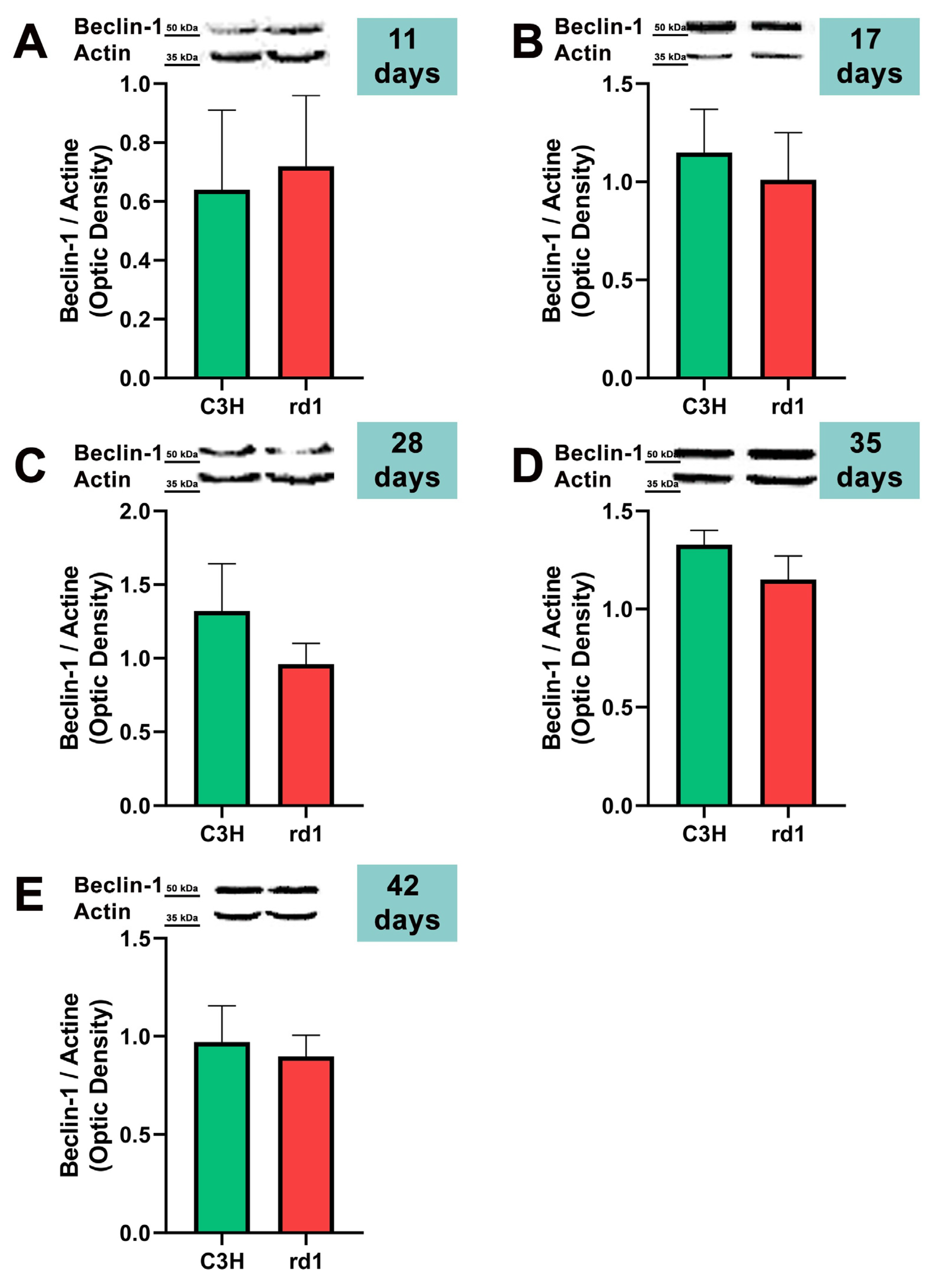 Biomolecules 13 01277 g003 Biomolecules 13 01277 g003