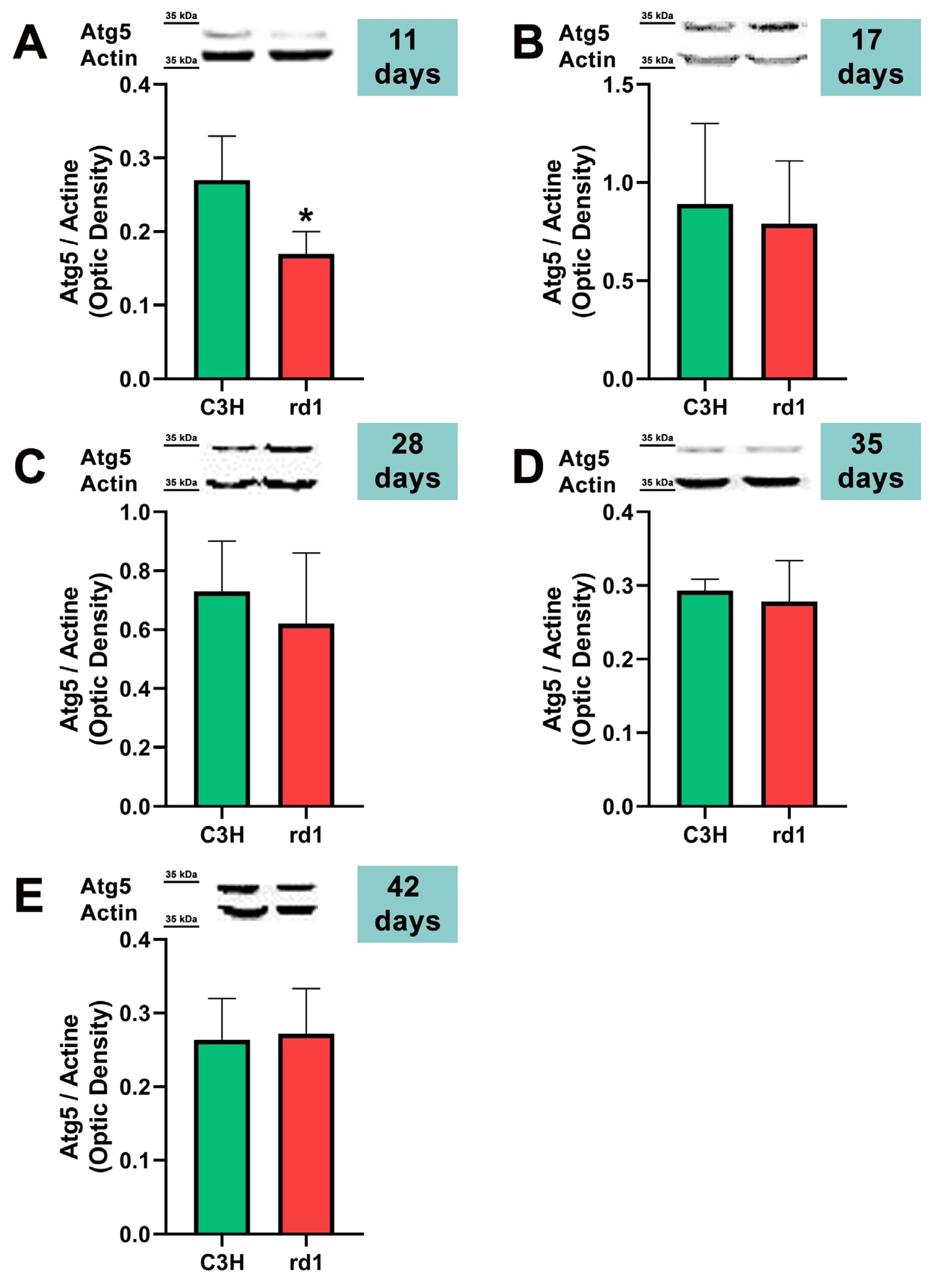 Biomolecules 13 01277 g004 Biomolecules 13 01277 g004