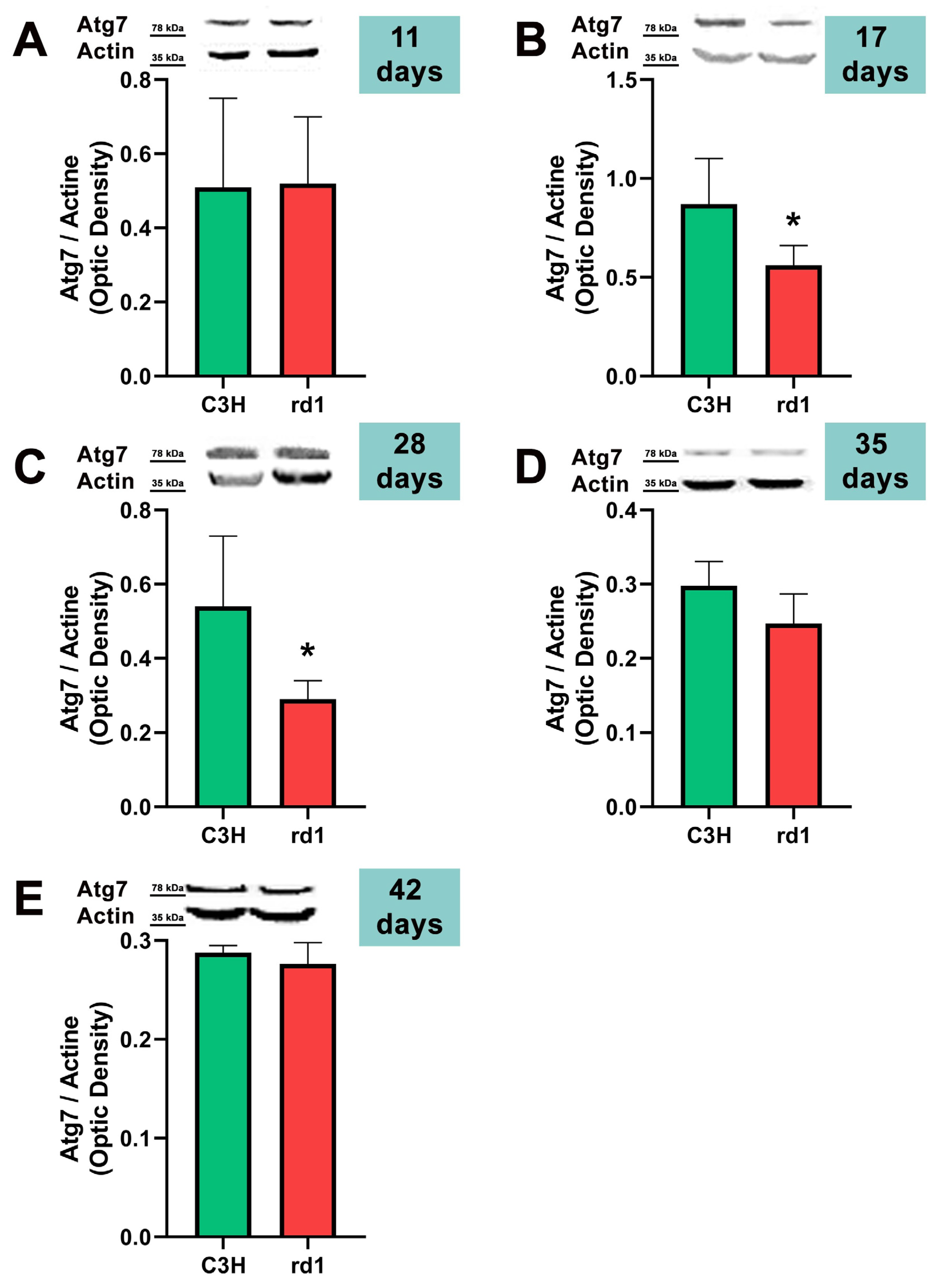 Biomolecules 13 01277 g005 Biomolecules 13 01277 g005
