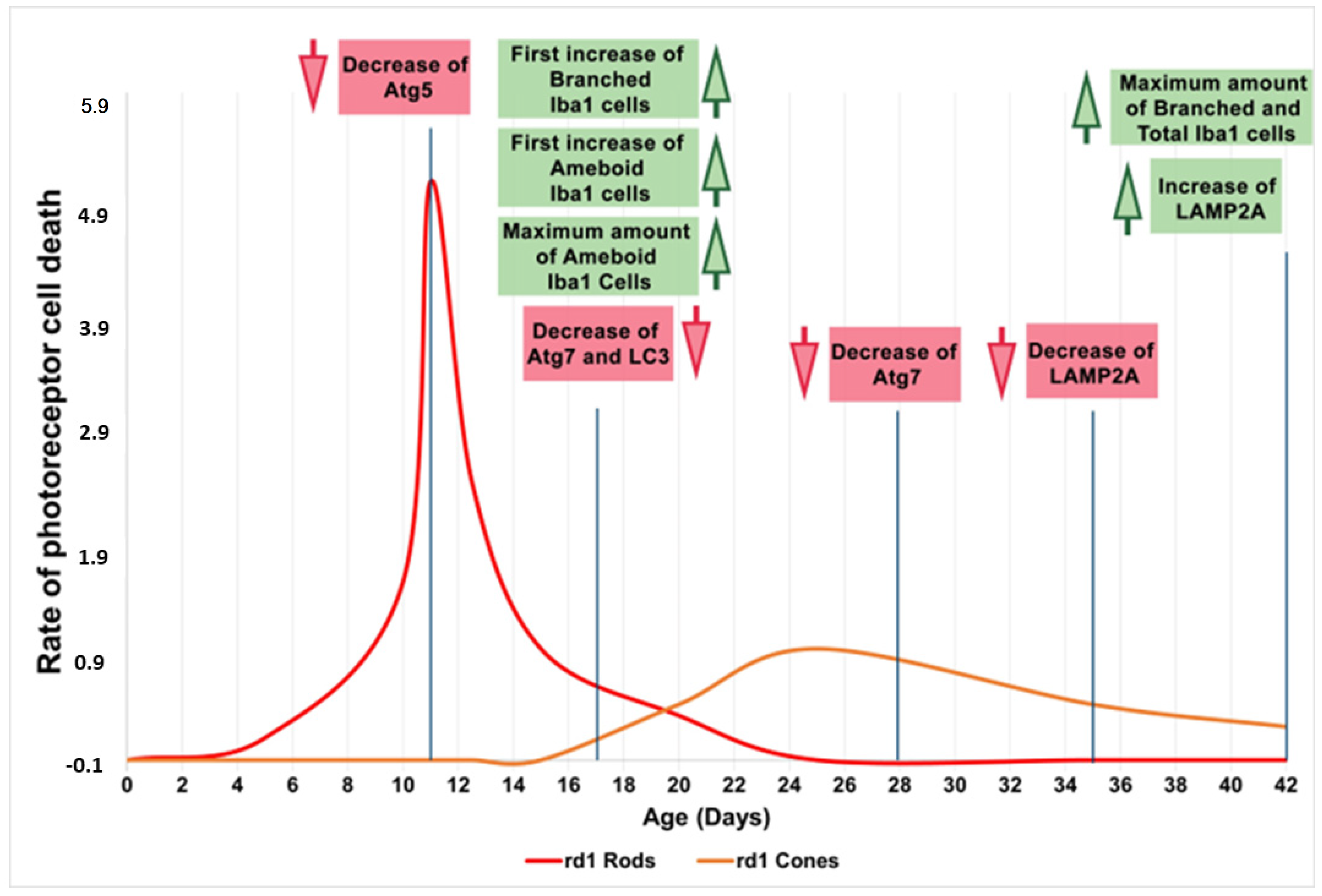 Biomolecules 13 01277 g008 Biomolecules 13 01277 g008