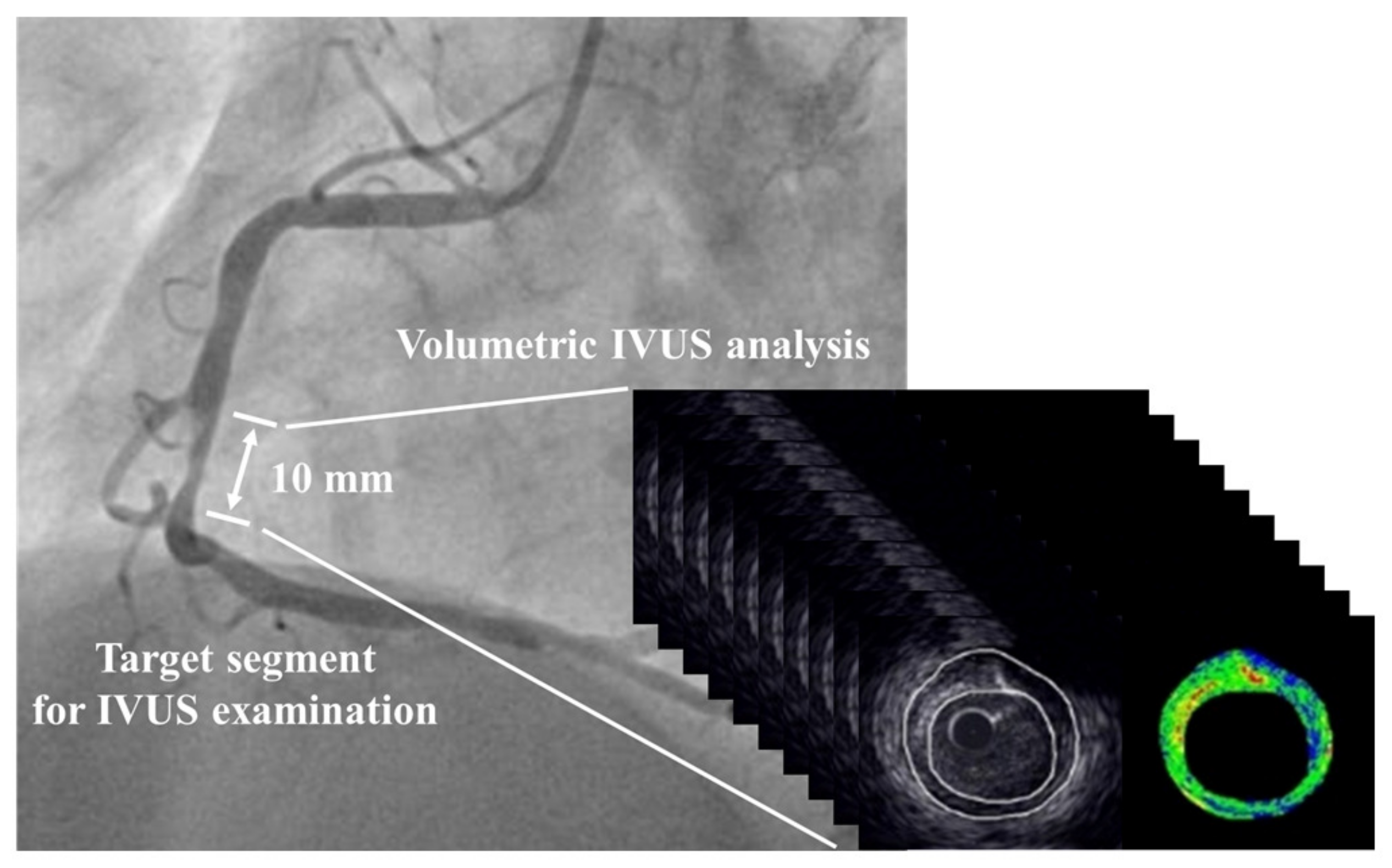 Biomolecules 13 01278 g001 Biomolecules 13 01278 g001