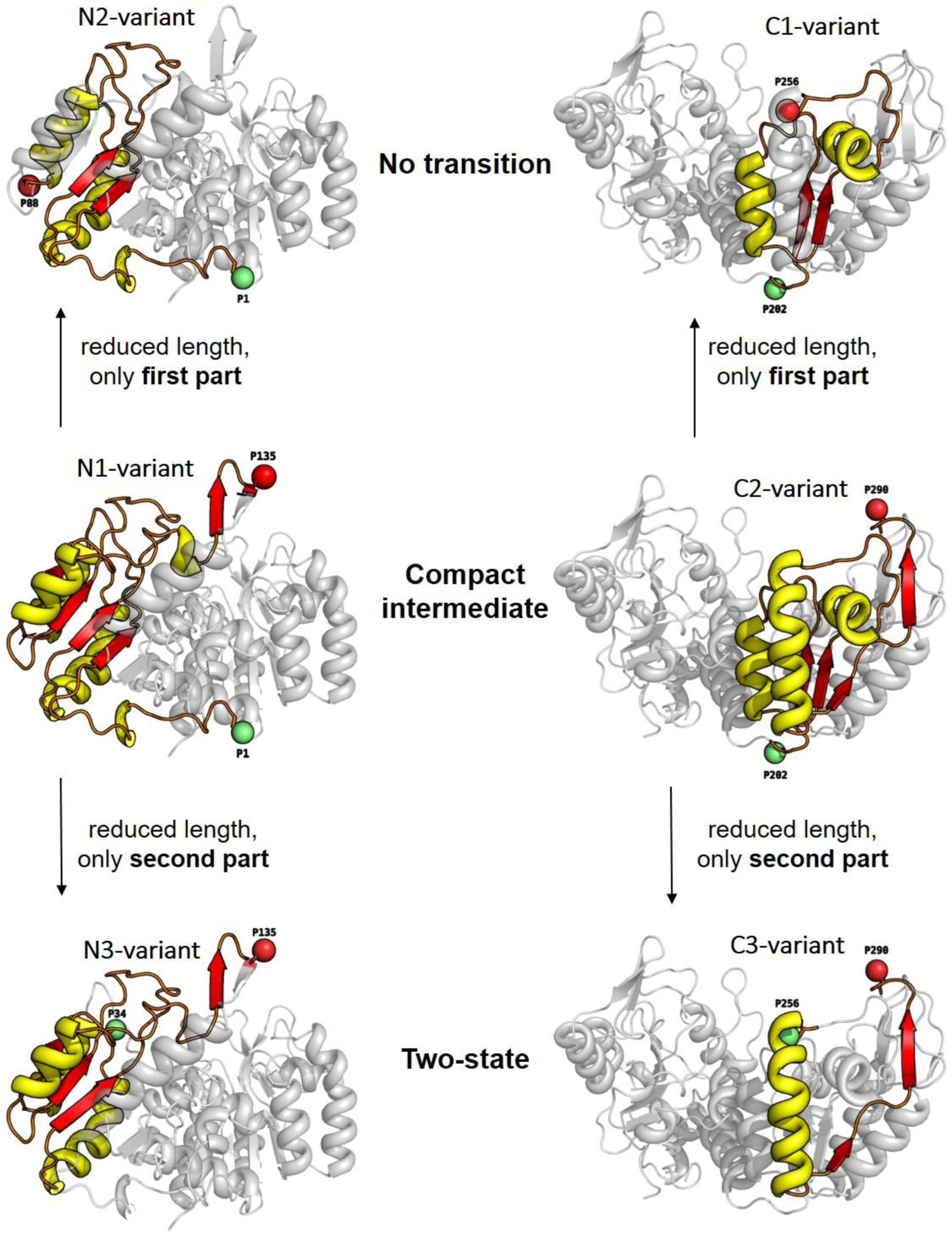 Biomolecules 13 01280 g003