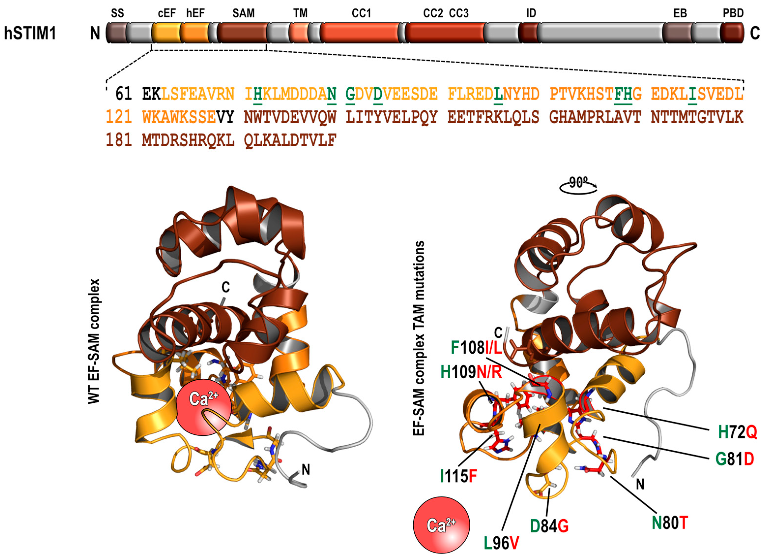 Biomolecules 13 01284 g001 Biomolecules 13 01284 g001