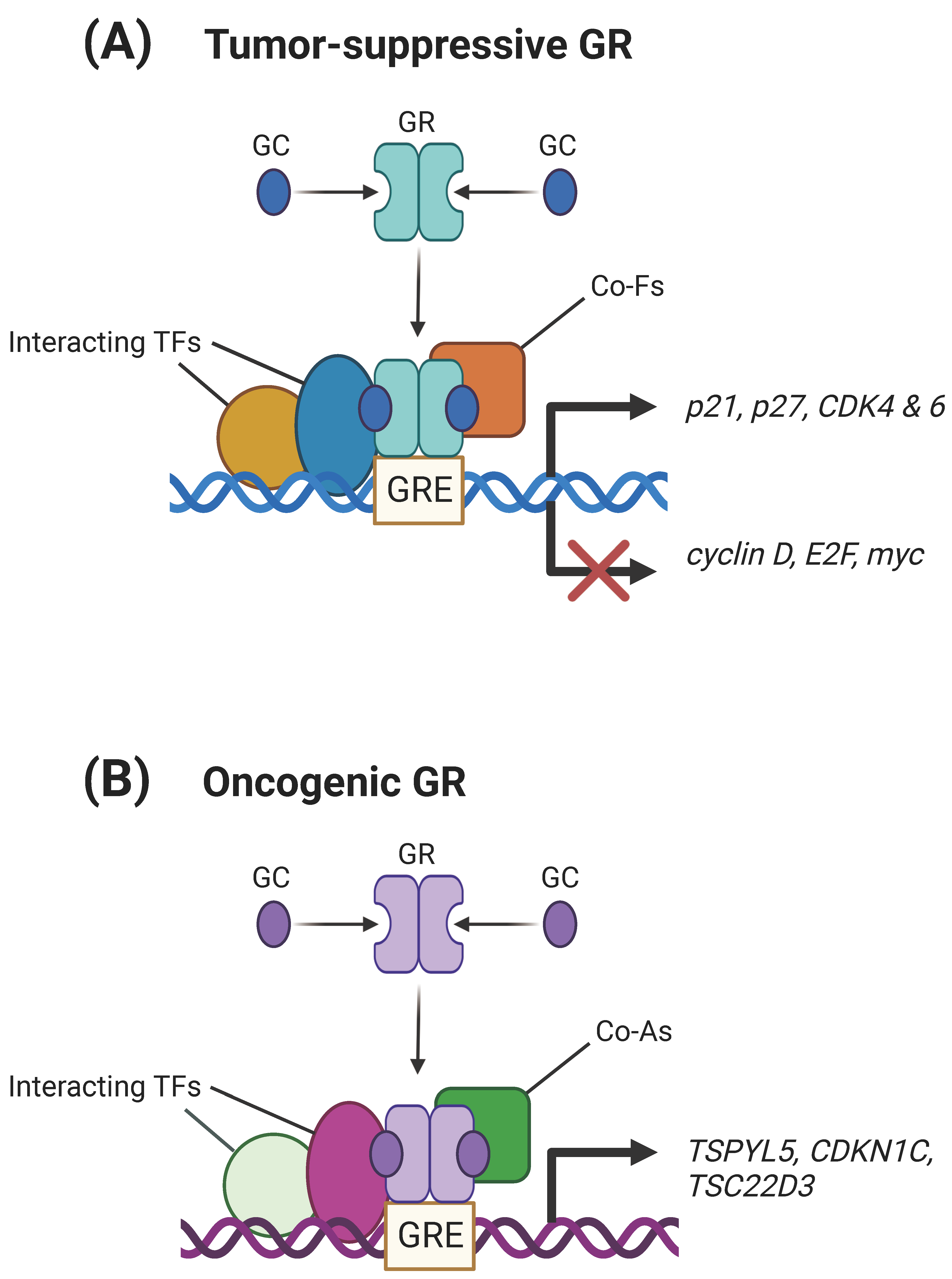 Biomolecules 13 01286 g001