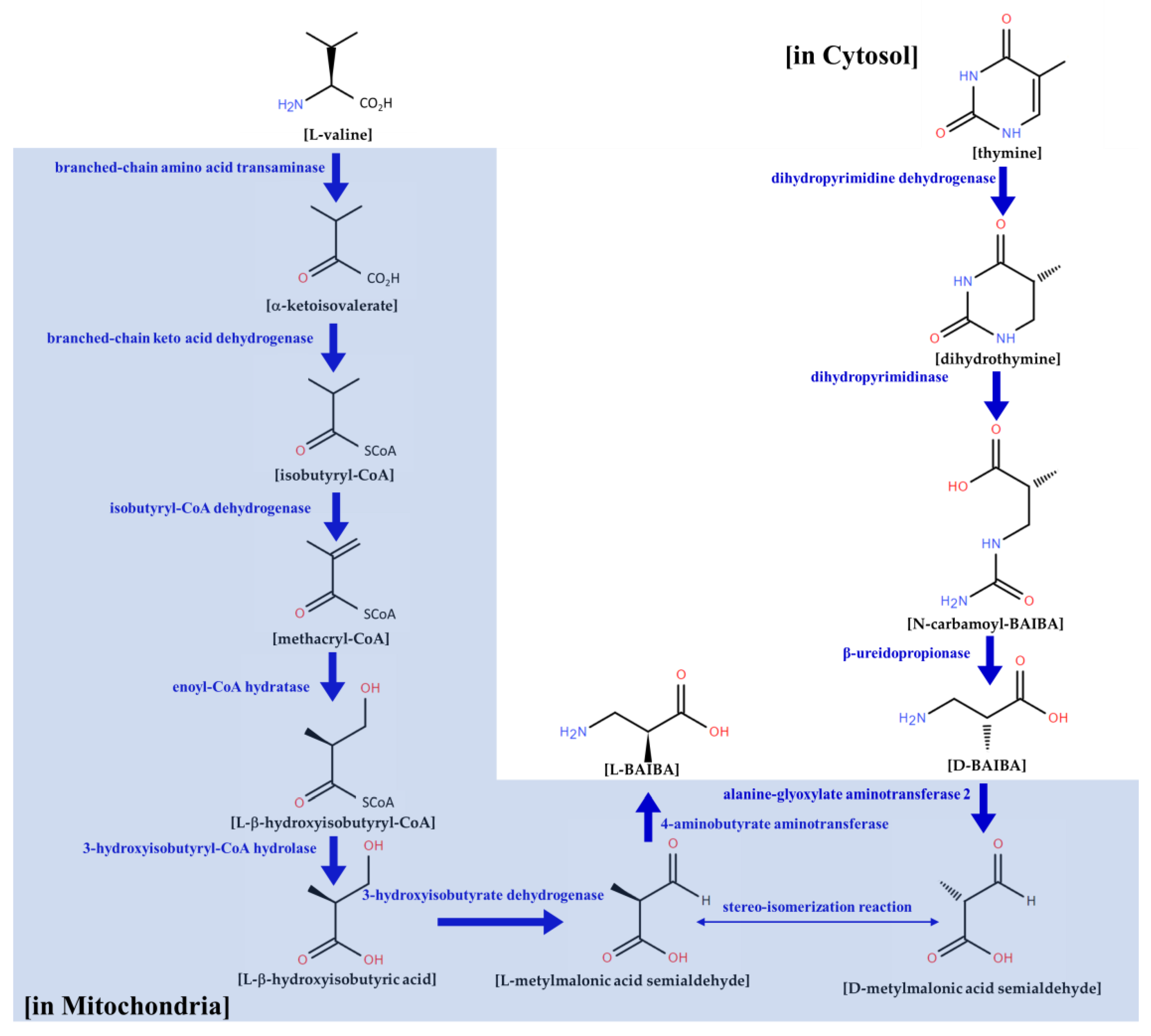 Biomolecules 13 01288 g003