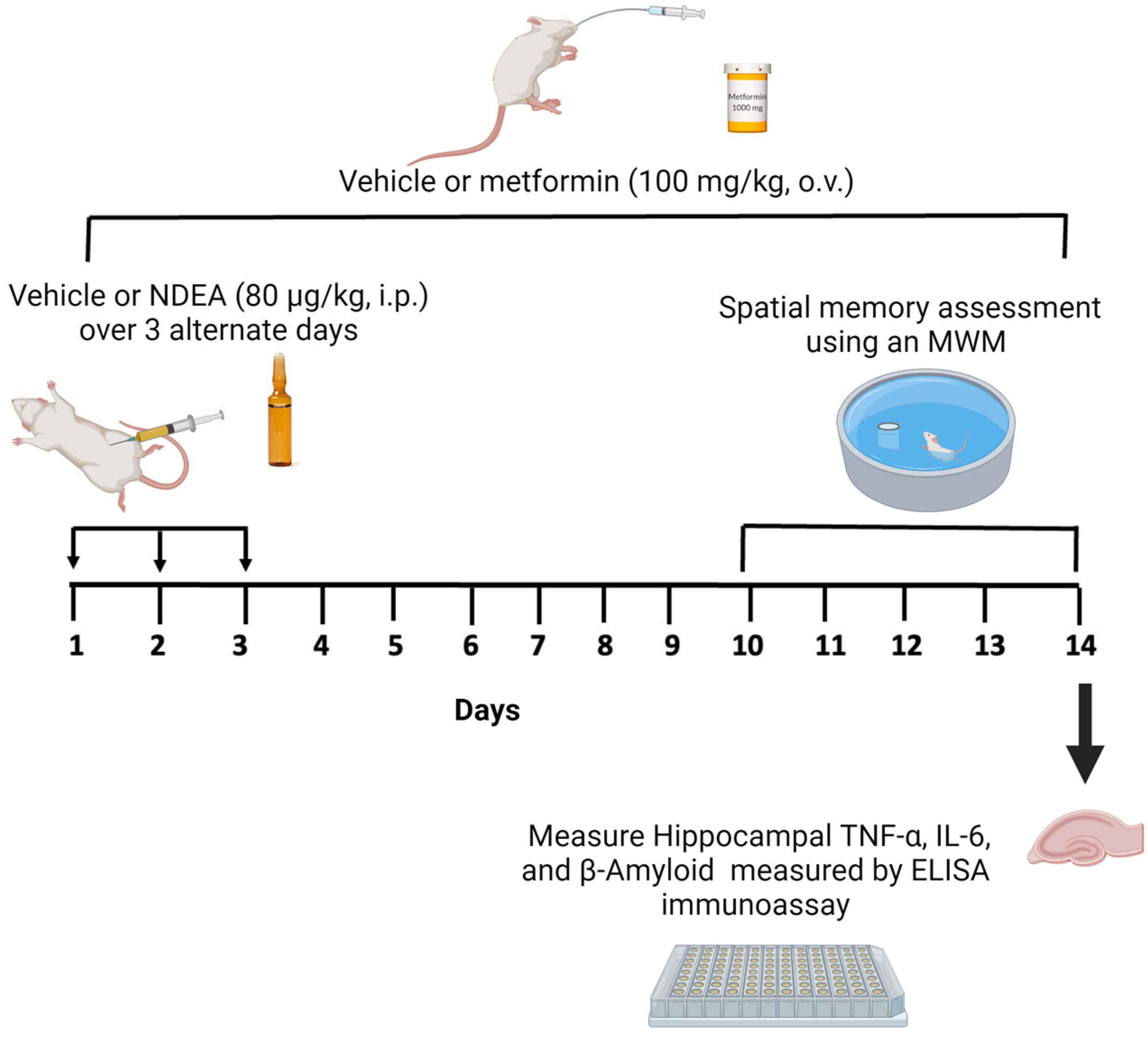 Biomolecules 13 01289 g001