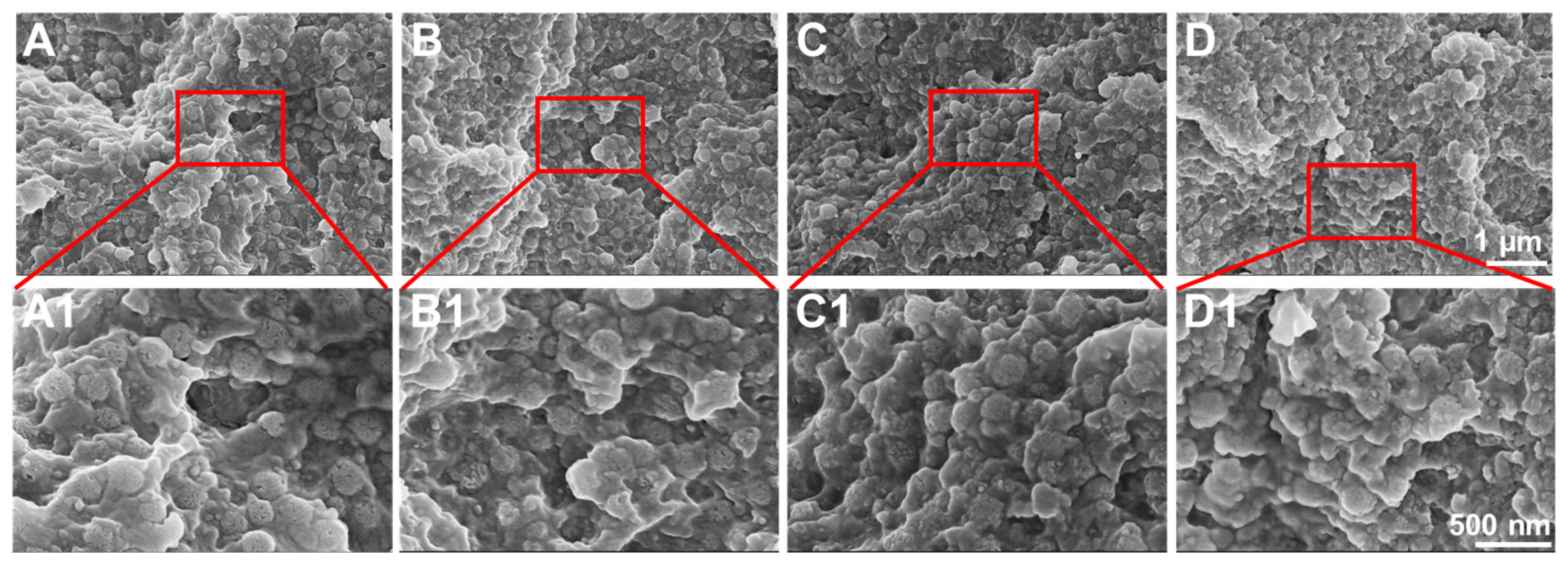 Biomolecules 13 01290 g005