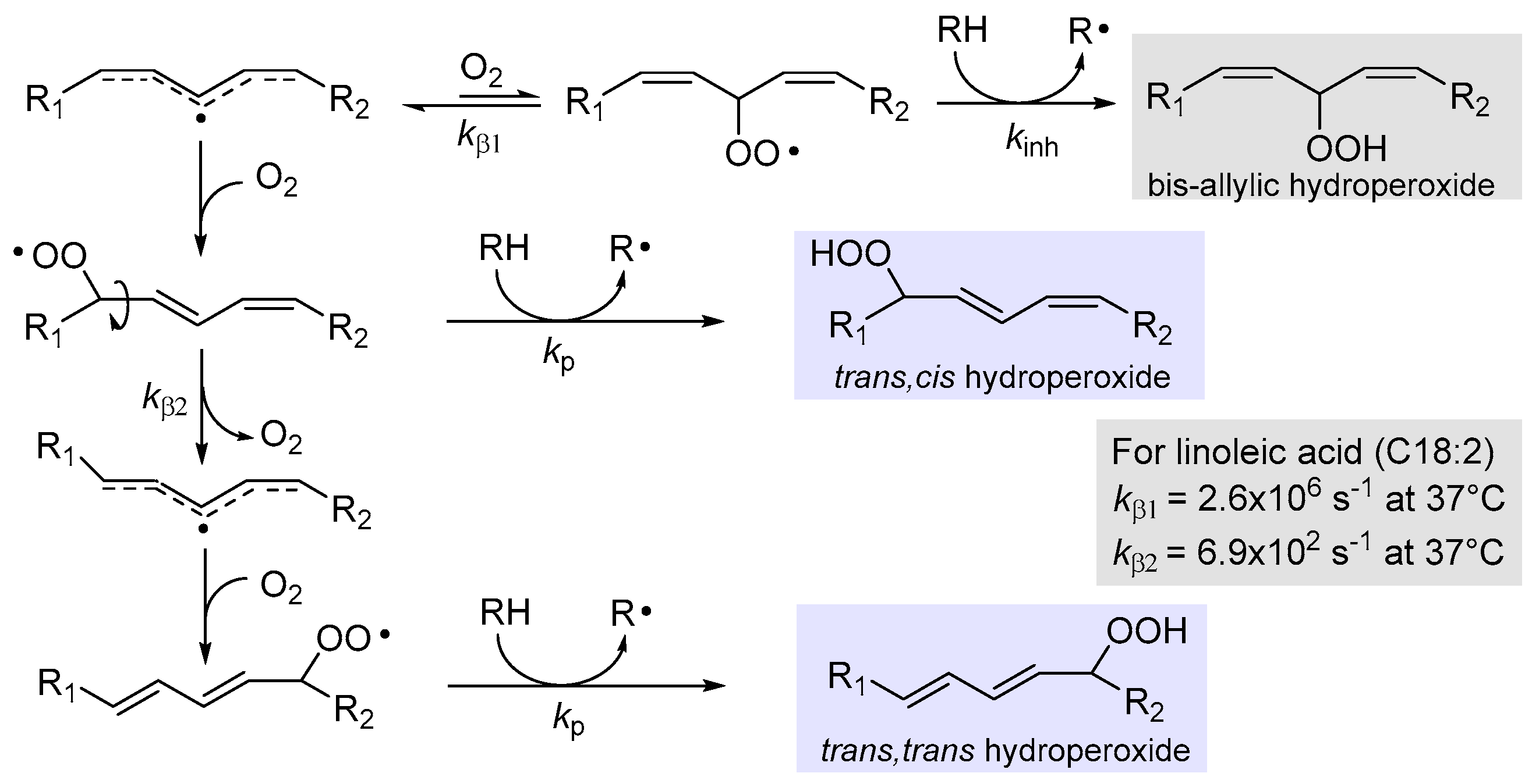 Biomolecules 13 01291 g002 Biomolecules 13 01291 g002