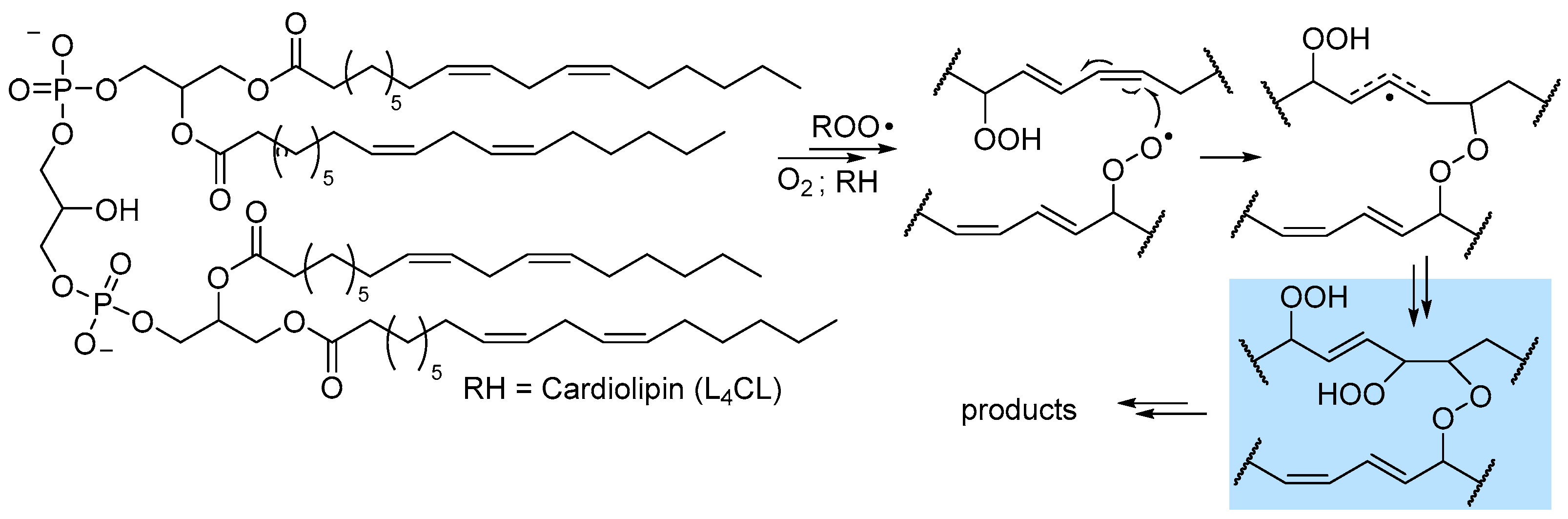 Biomolecules 13 01291 g006 Biomolecules 13 01291 g006