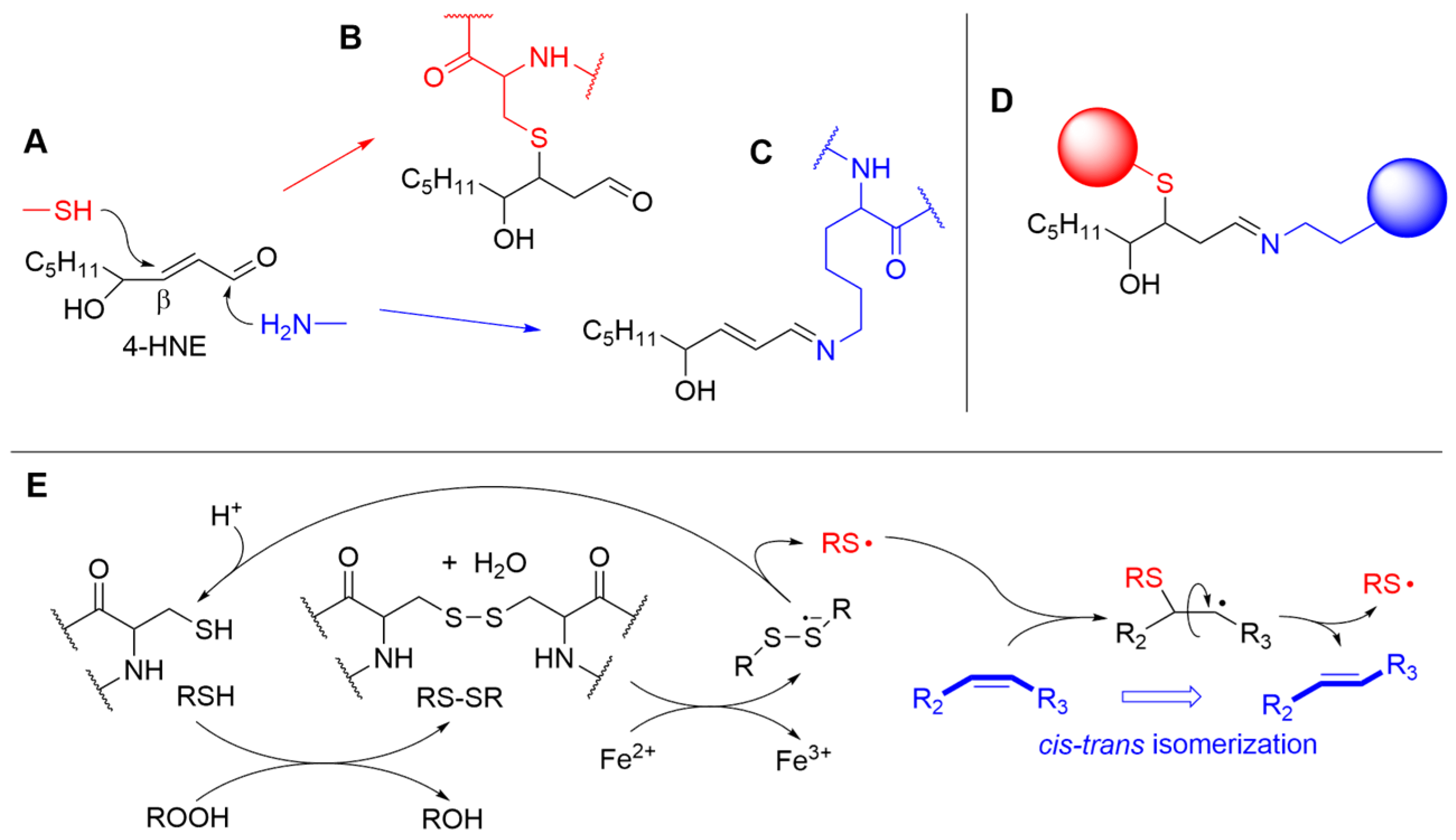 Biomolecules 13 01291 g008 Biomolecules 13 01291 g008