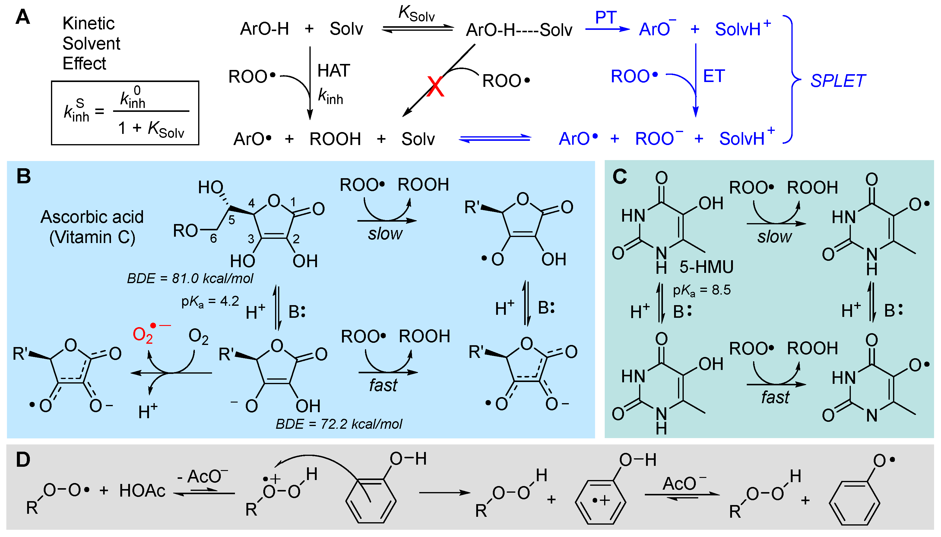 Biomolecules 13 01291 g011 Biomolecules 13 01291 g011