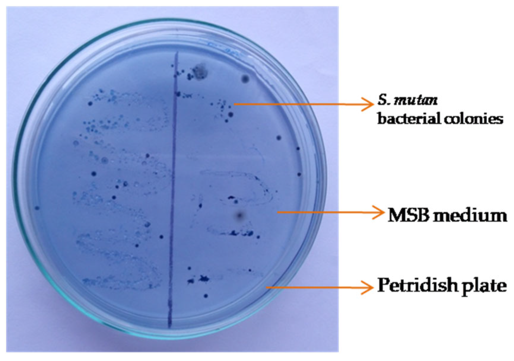 Biomolecules 13 01292 g003