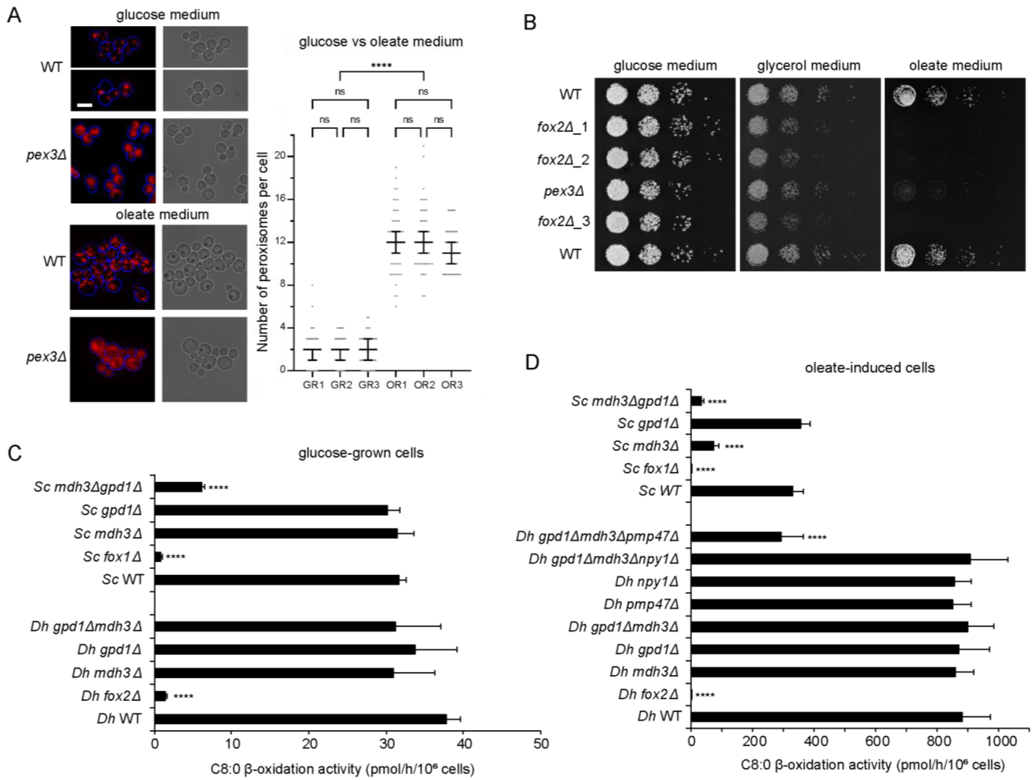 Biomolecules 13 01294 g001