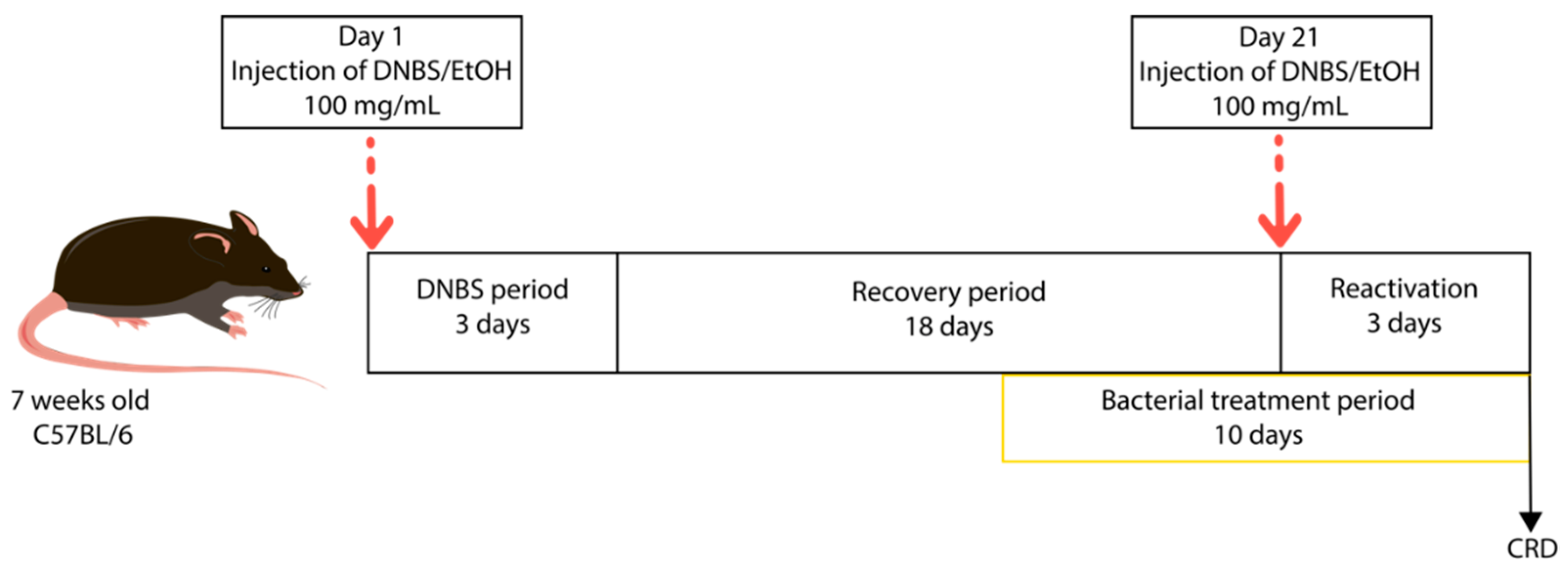 Biomolecules 13 01295 g001