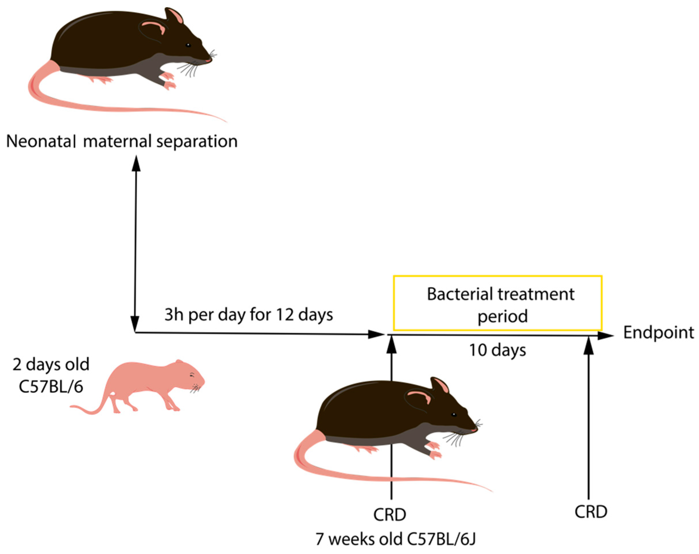 Biomolecules 13 01295 g002