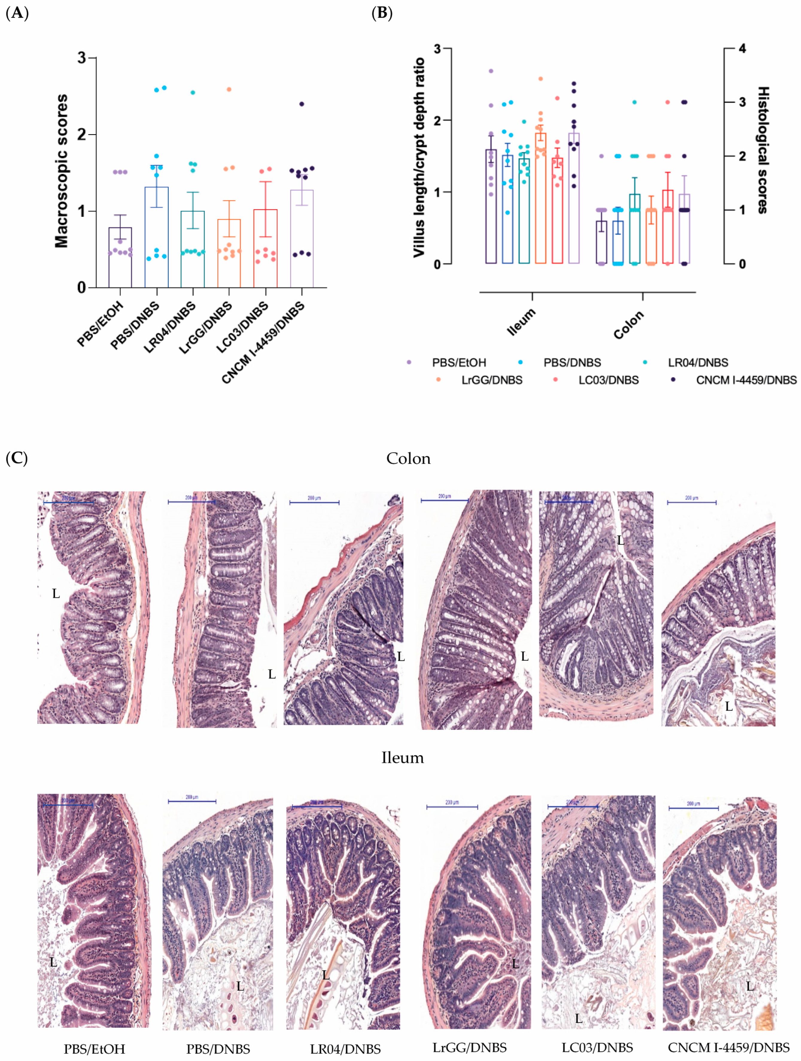 Biomolecules 13 01295 g003