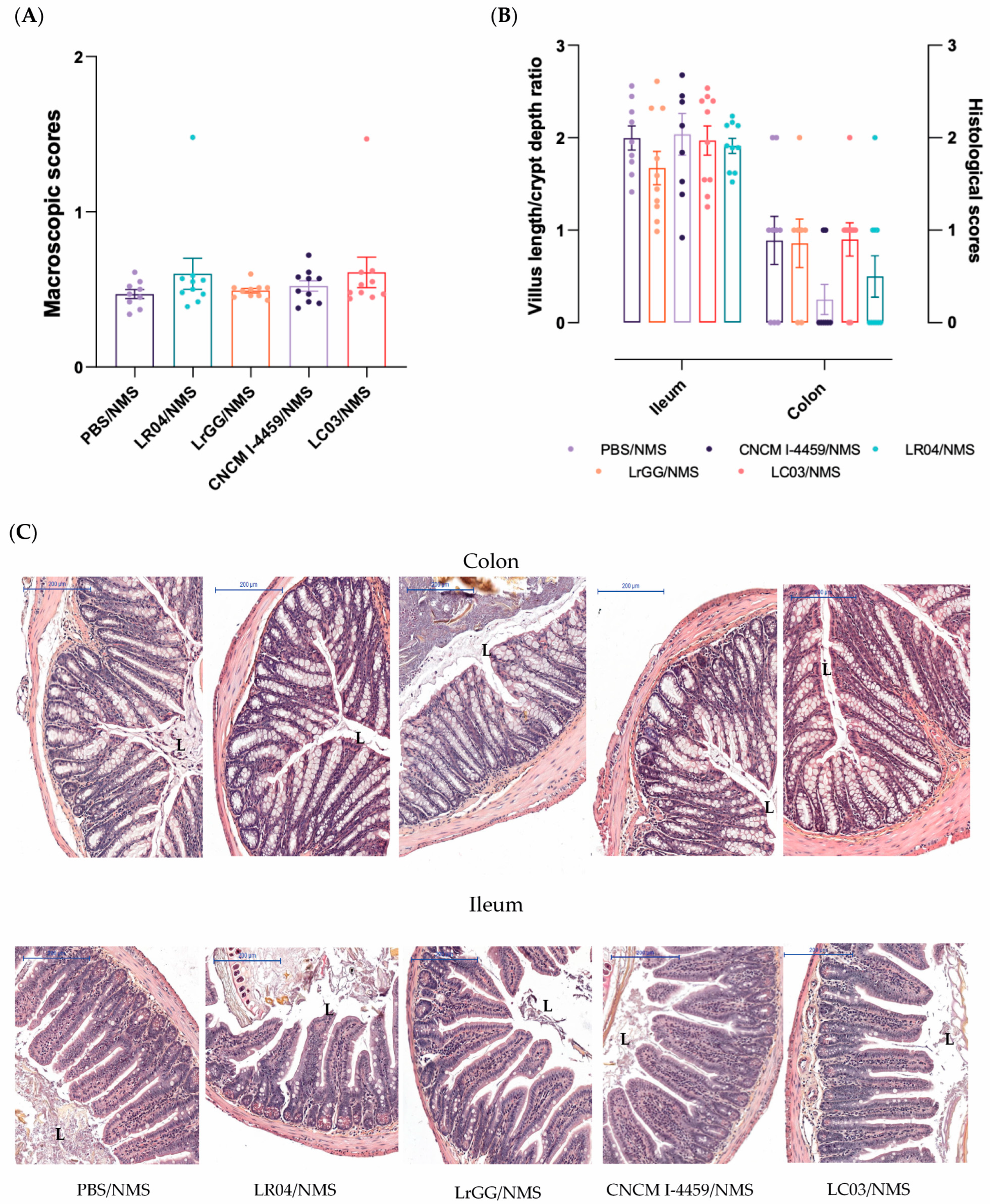 Biomolecules 13 01295 g004