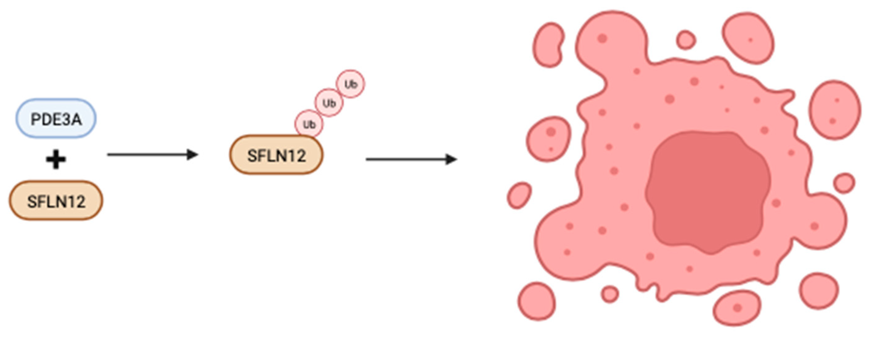 Biomolecules 13 01296 g003