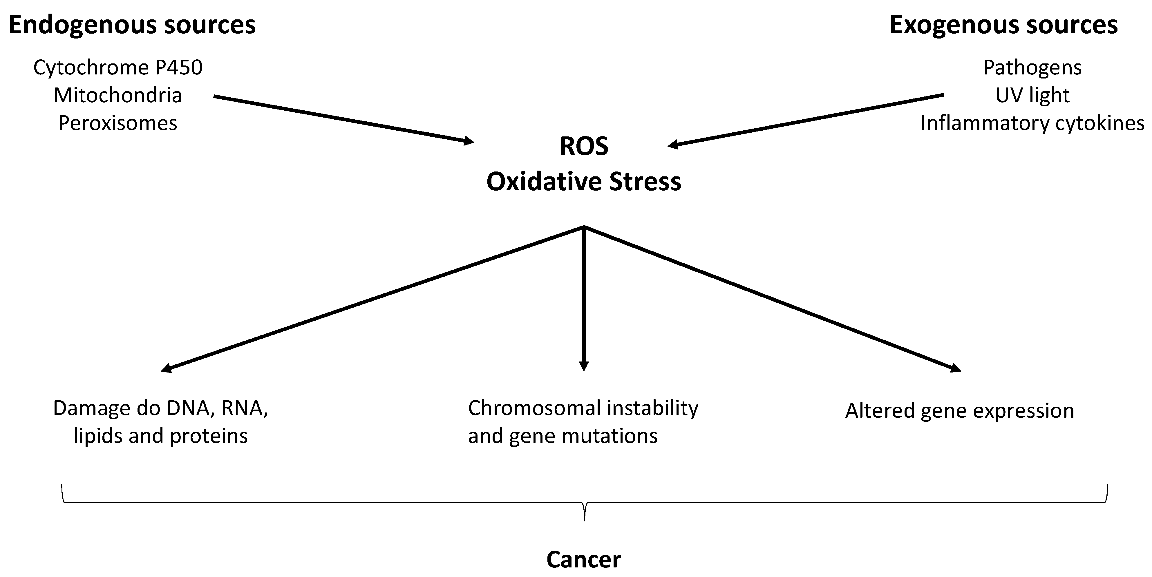Biomolecules 13 01296 g005