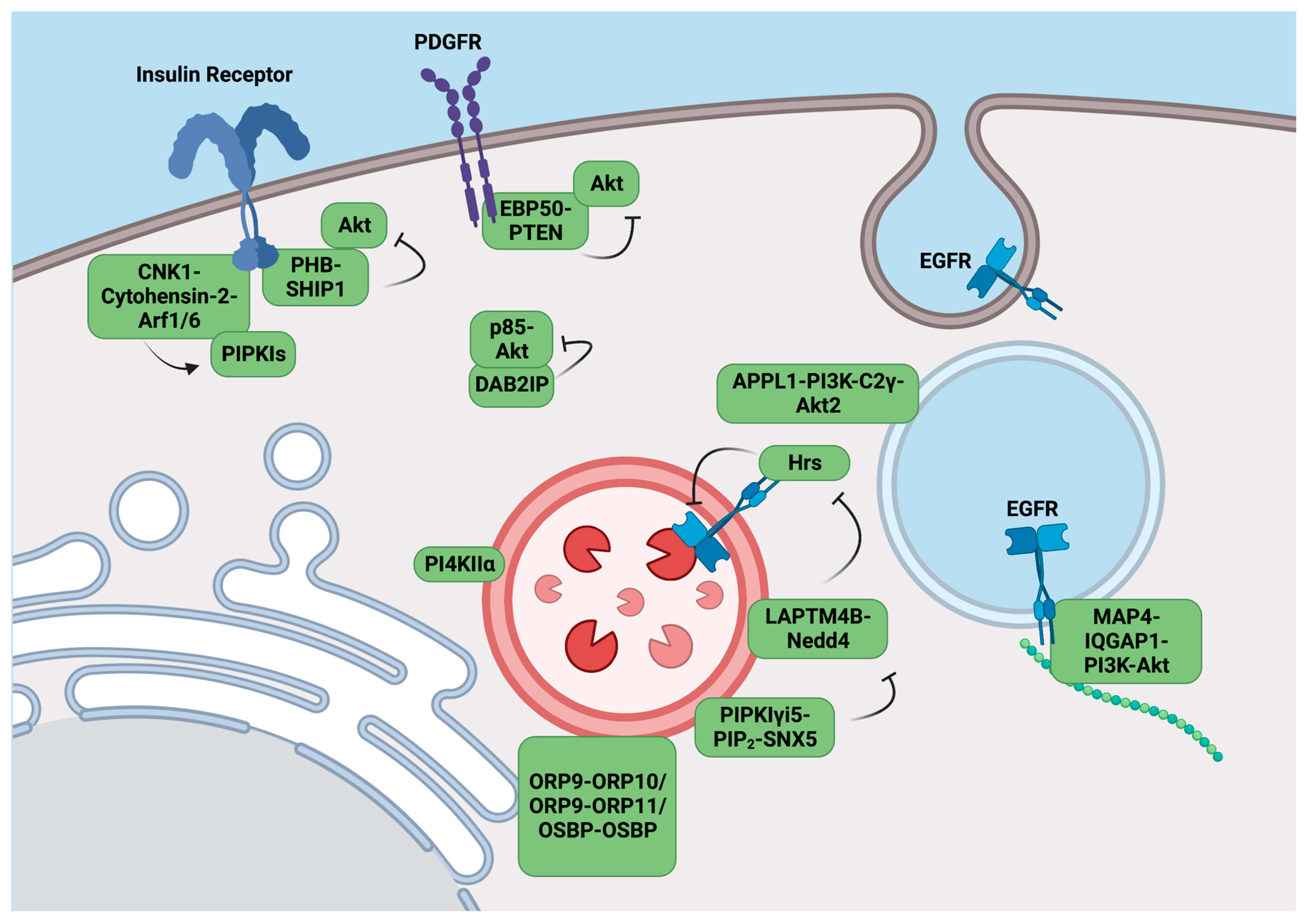 Biomolecules 13 01297 g002