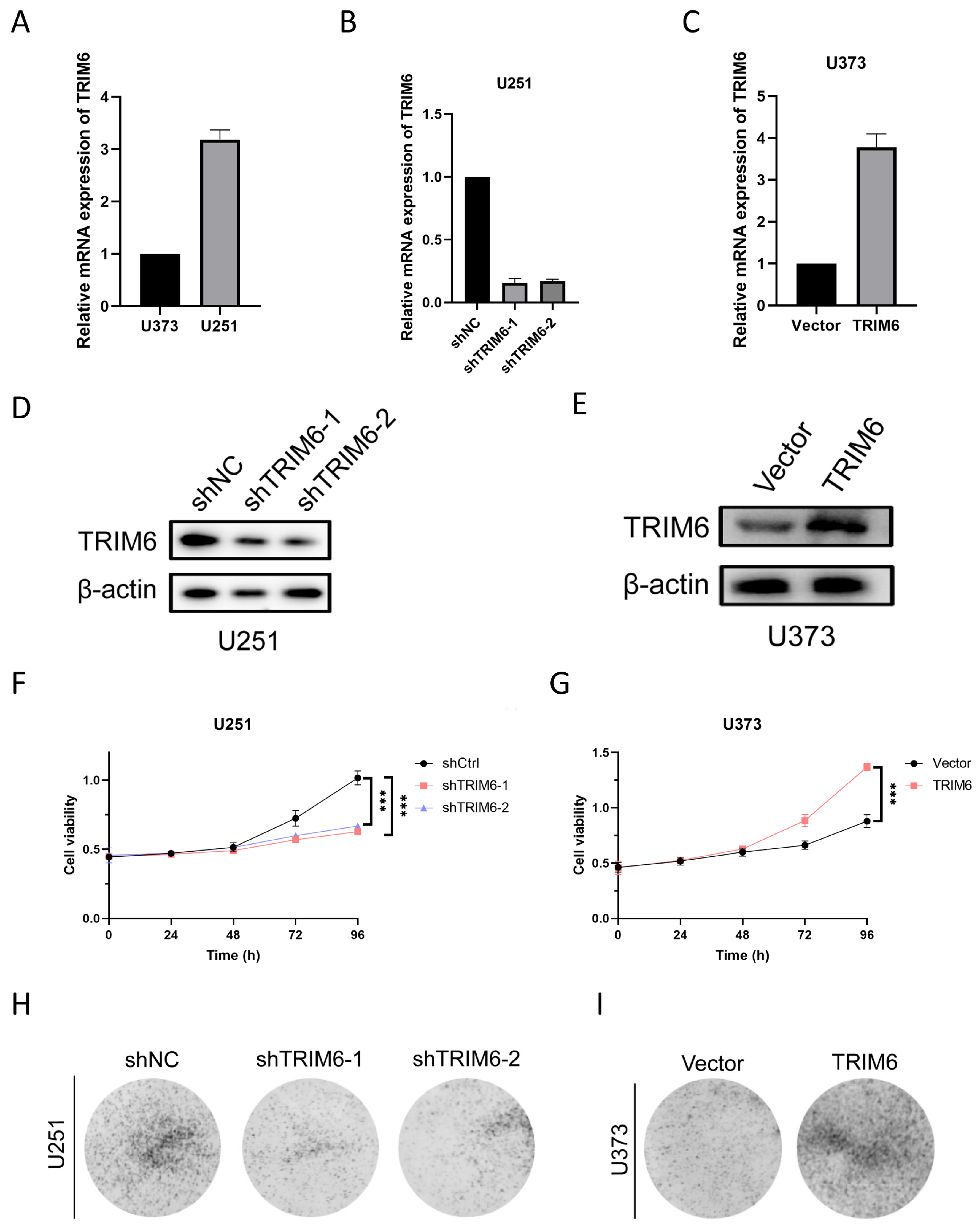 Biomolecules 13 01298 g009