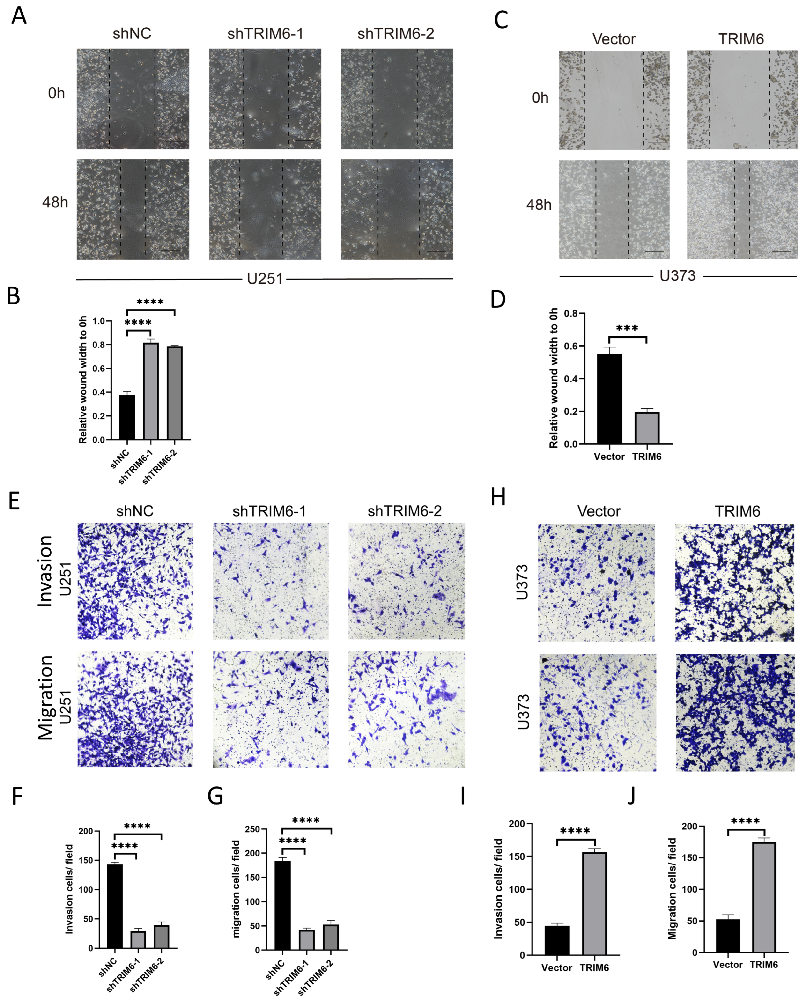 Biomolecules 13 01298 g010