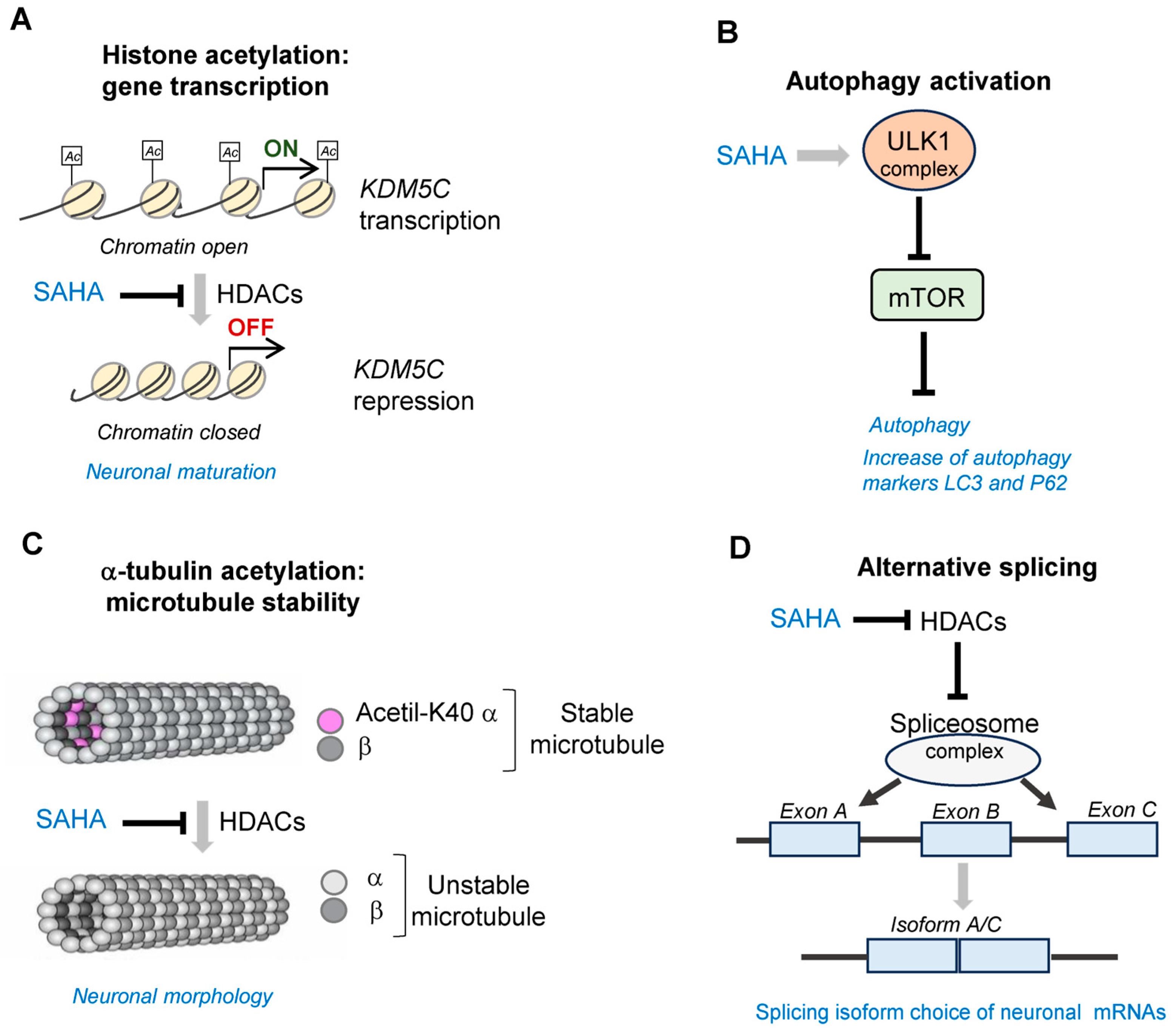 Biomolecules 13 01301 g003