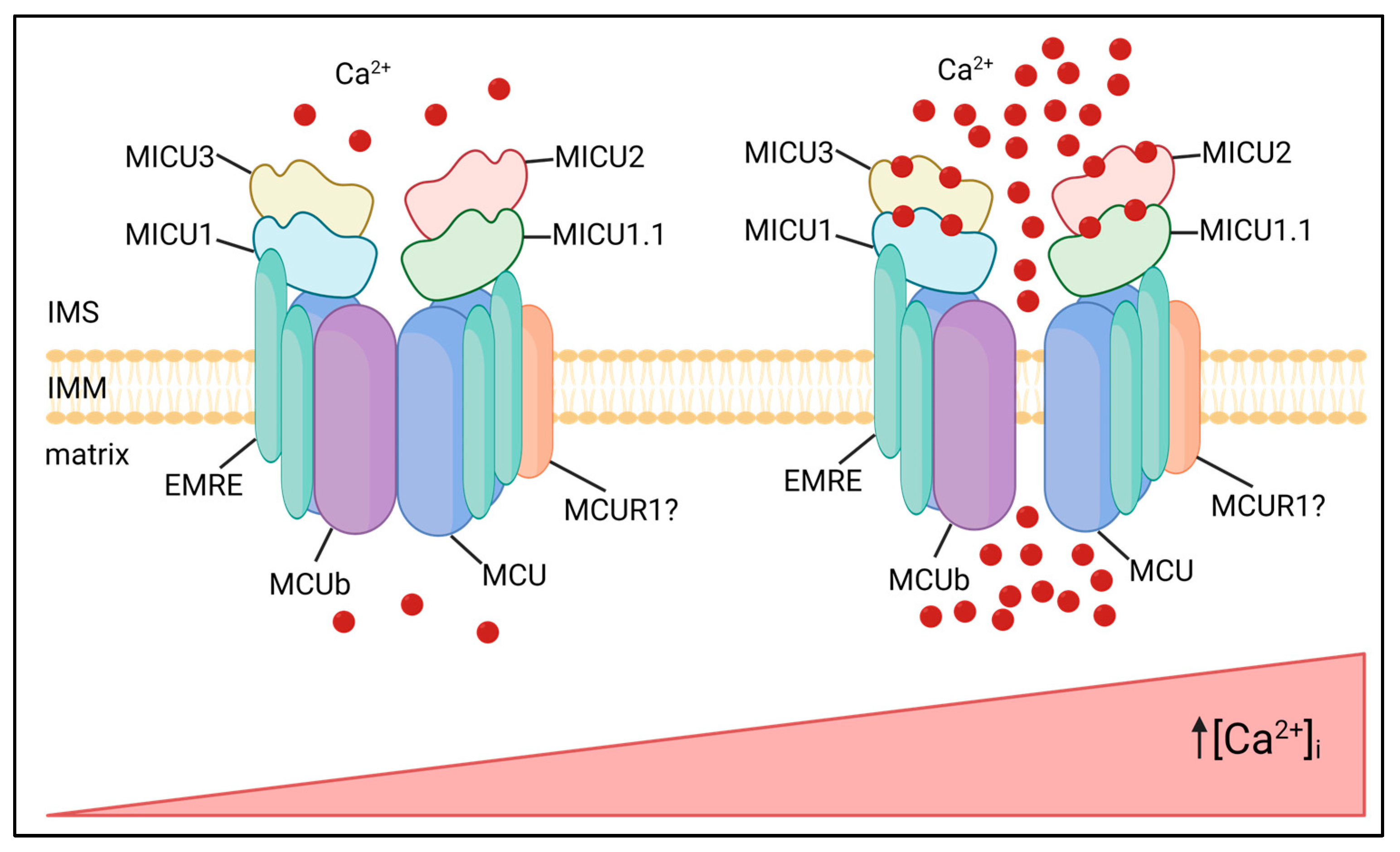 Biomolecules 13 01304 g001