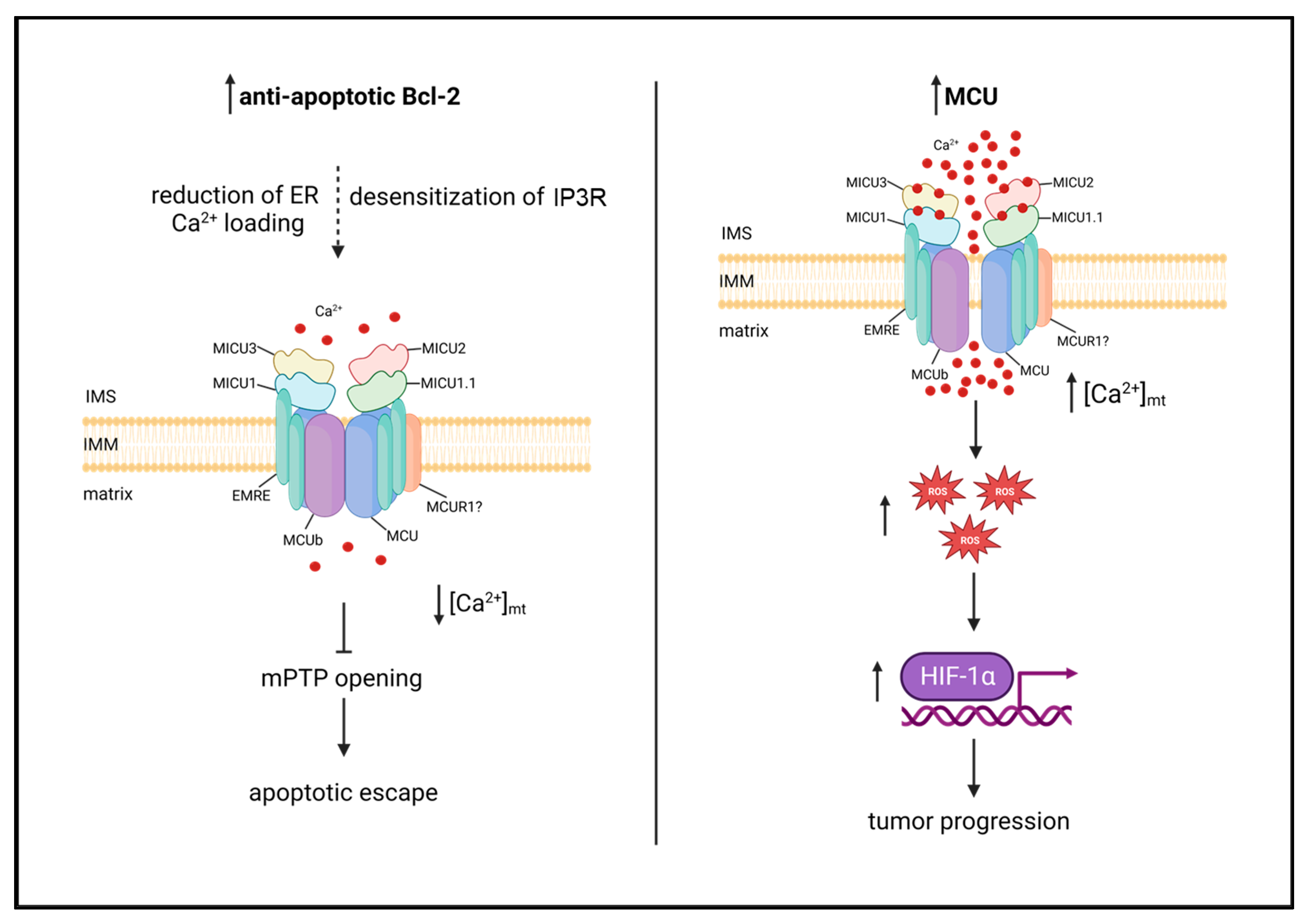 Biomolecules 13 01304 g002