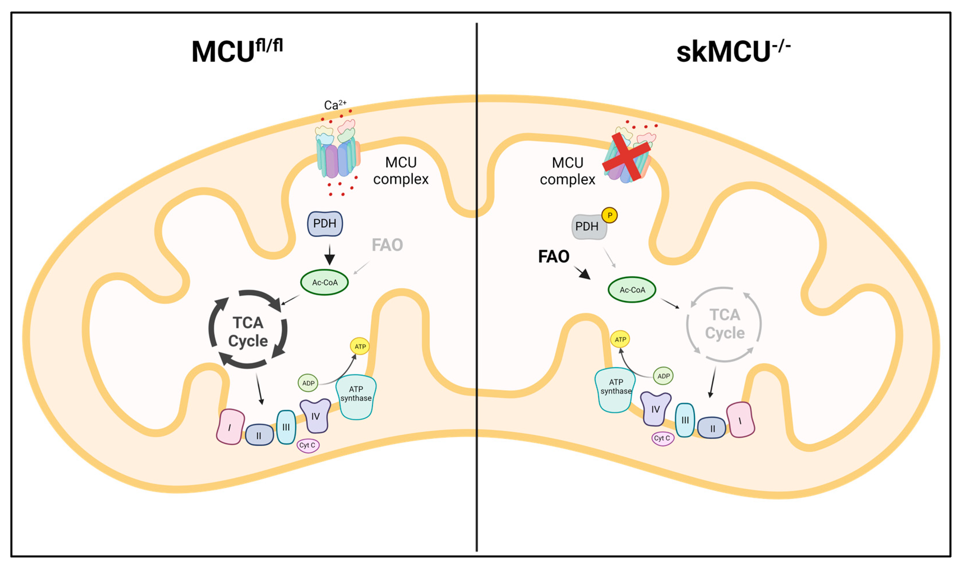 Biomolecules 13 01304 g003