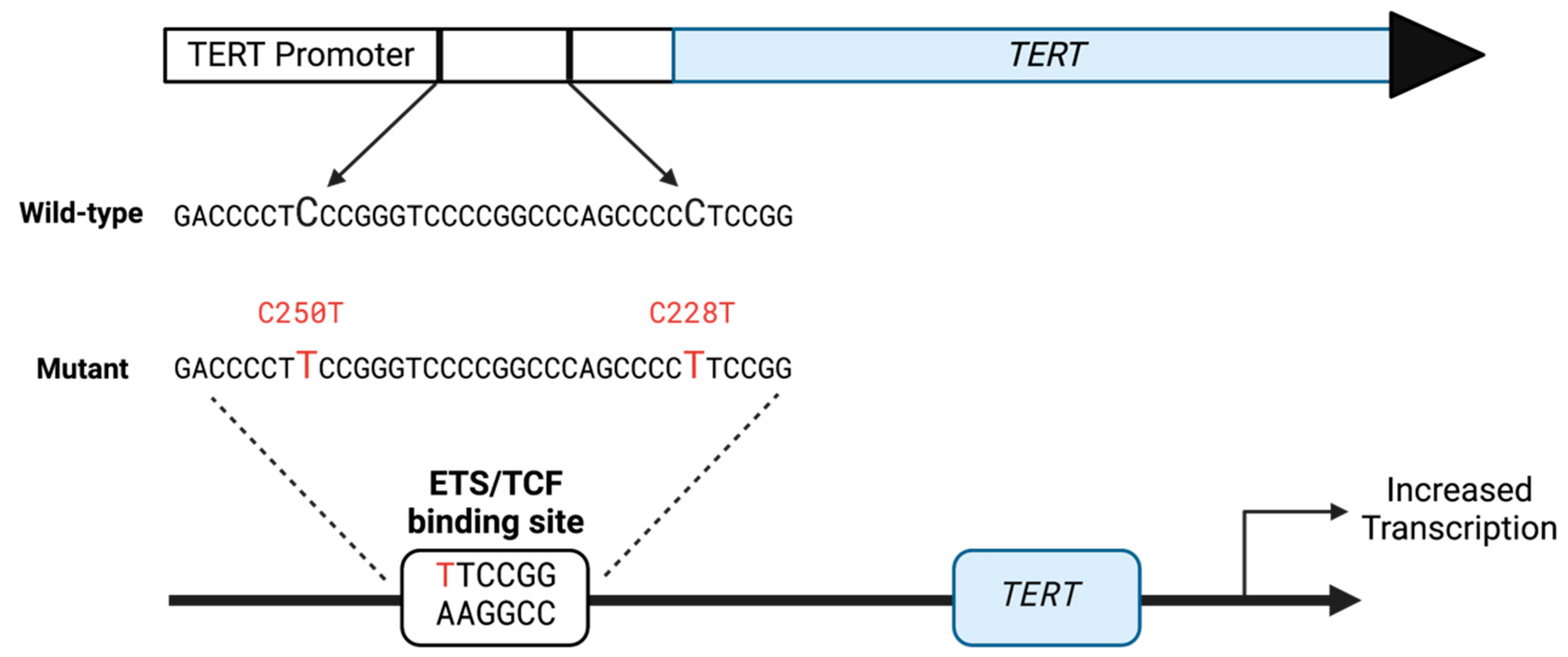 Biomolecules 13 01308 g001 Biomolecules 13 01308 g001